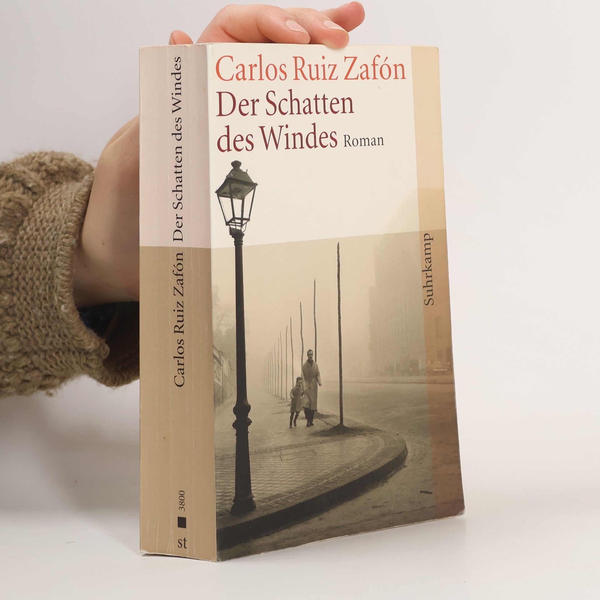 Carlos Ruiz Zafón Der Schatten des Windes