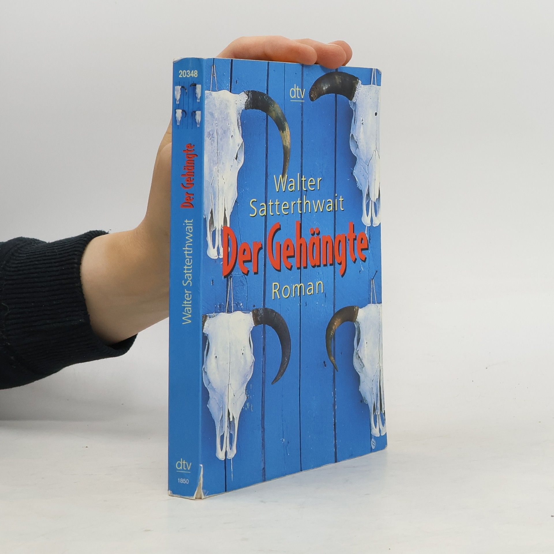 Walter Satterthwait Der Gehängte. Roman. Dtsch. v. Klaus Schomburg