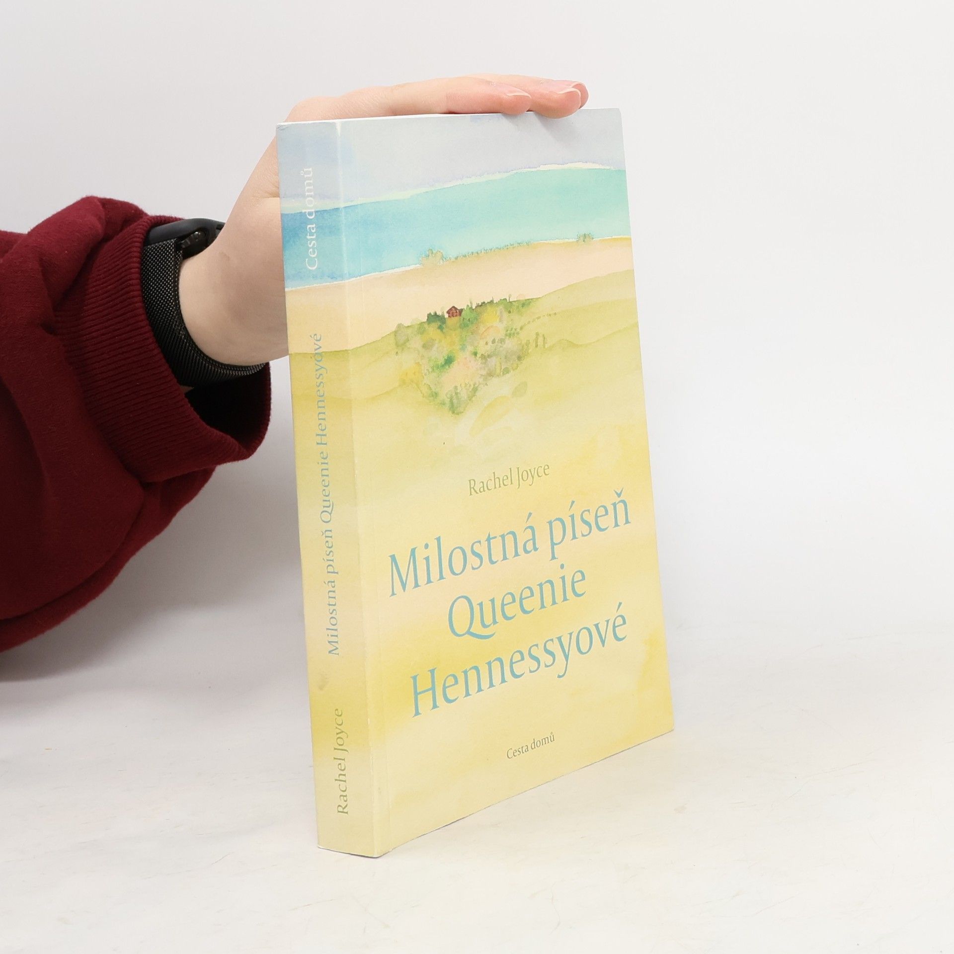 Rachel Joyce Milostná píseň Queenie Hennessyové