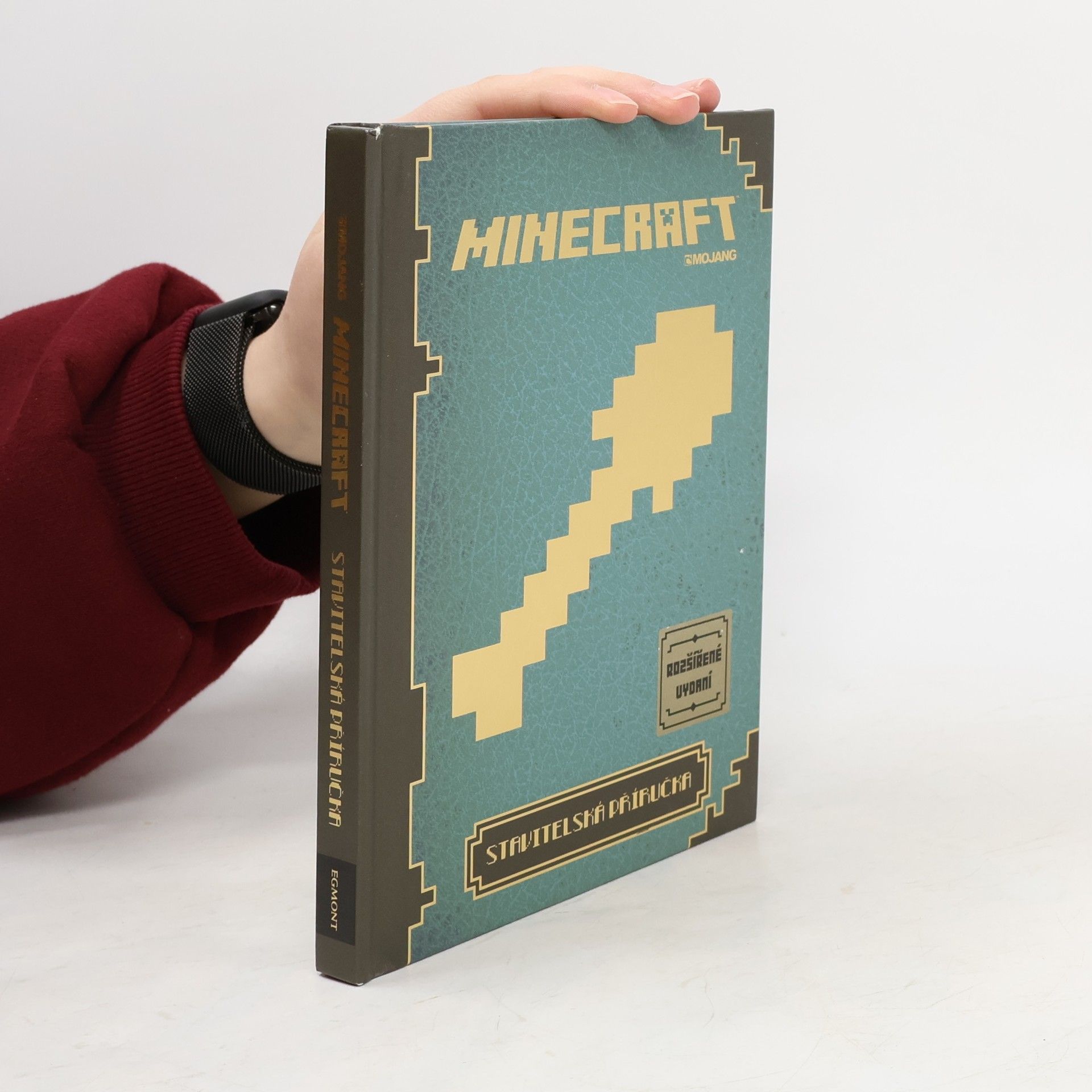Matyáš Theodor Frydrych Minecraft: Stavitelská příručka