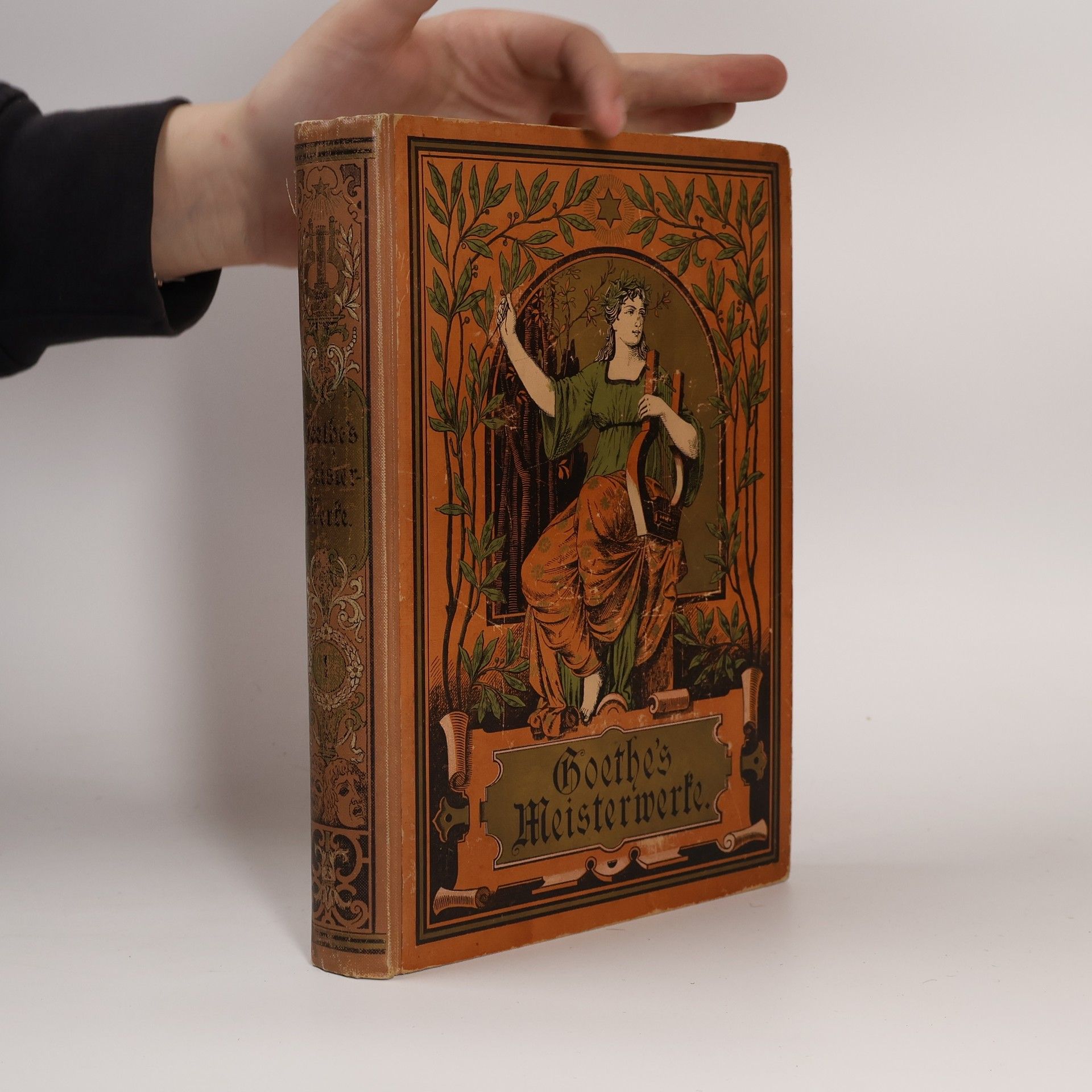 Johann Wolfgang von Goethe Goethe´s Meisterwerke 2 Bänden