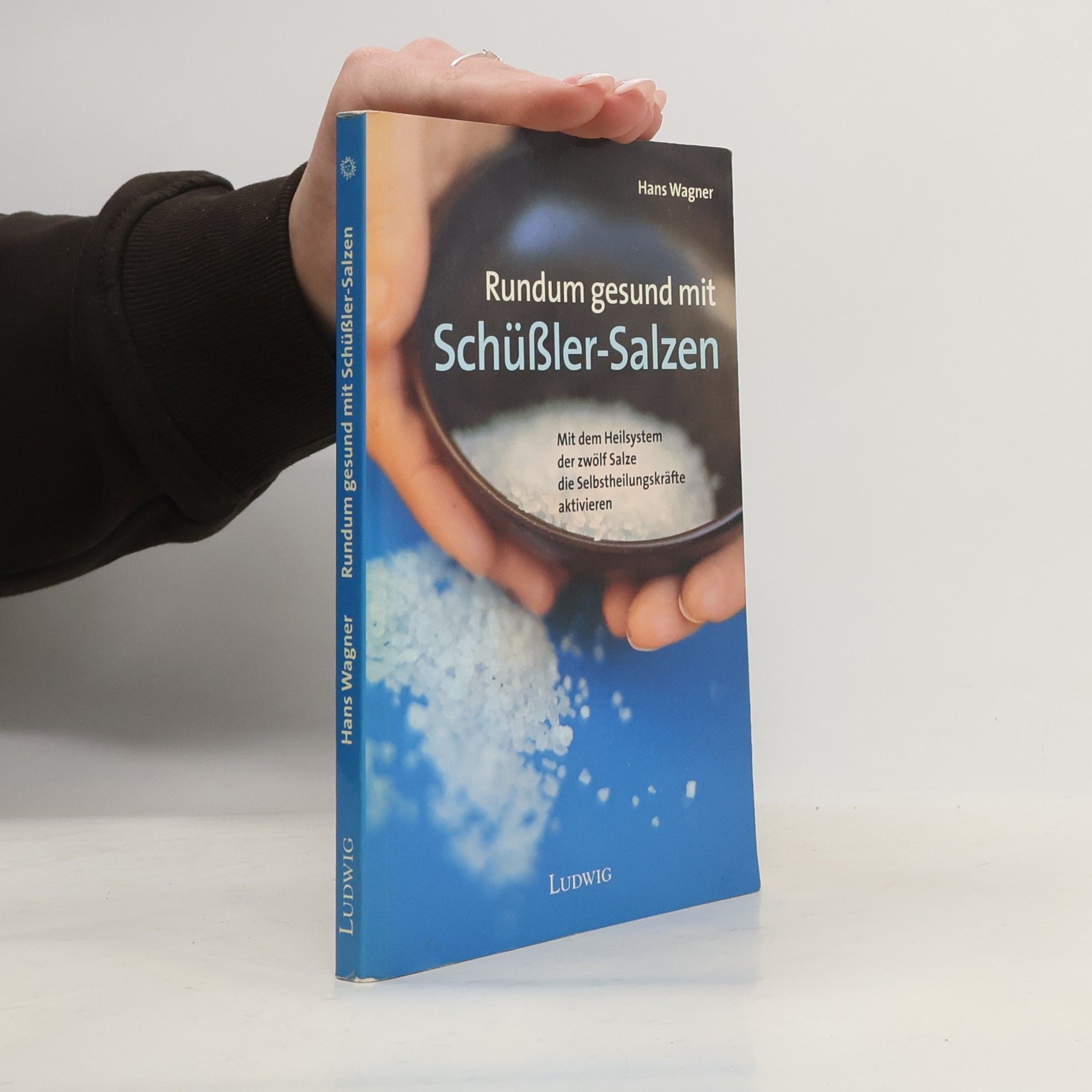 Hans Wagner Rundum gesund mit Schüßler-Salzen