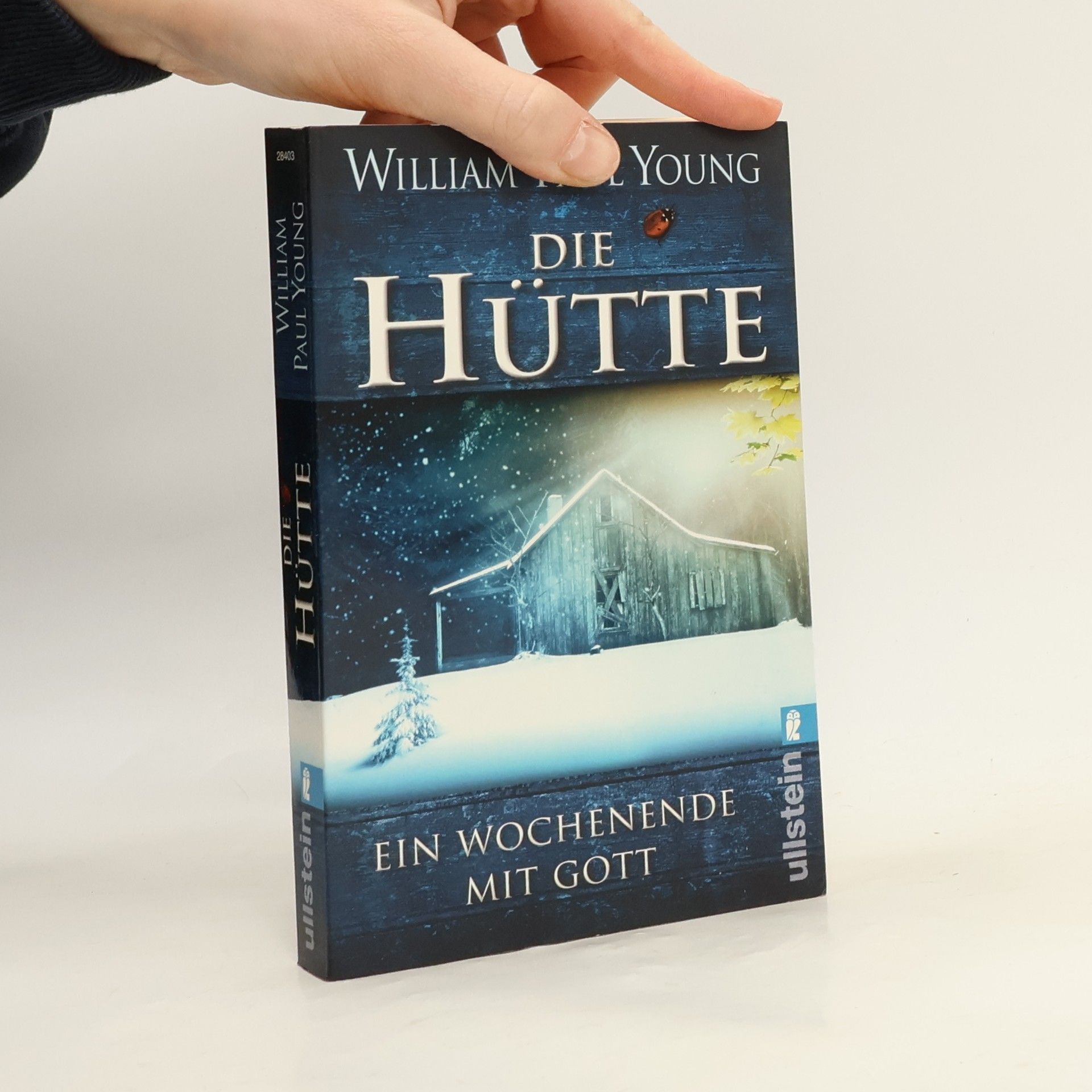 William P. Young Die Hütte