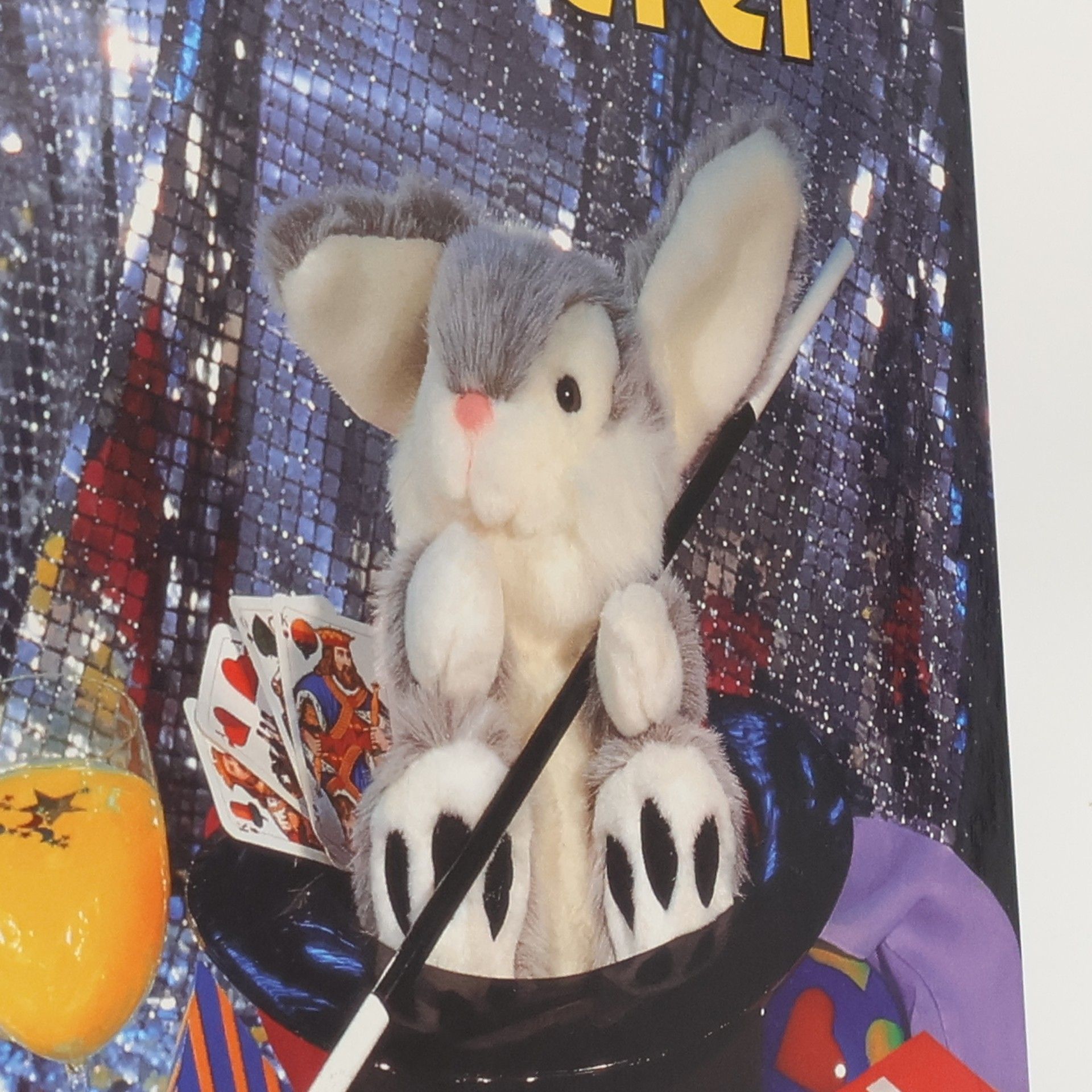 Mein grosses Buch der Zauberei