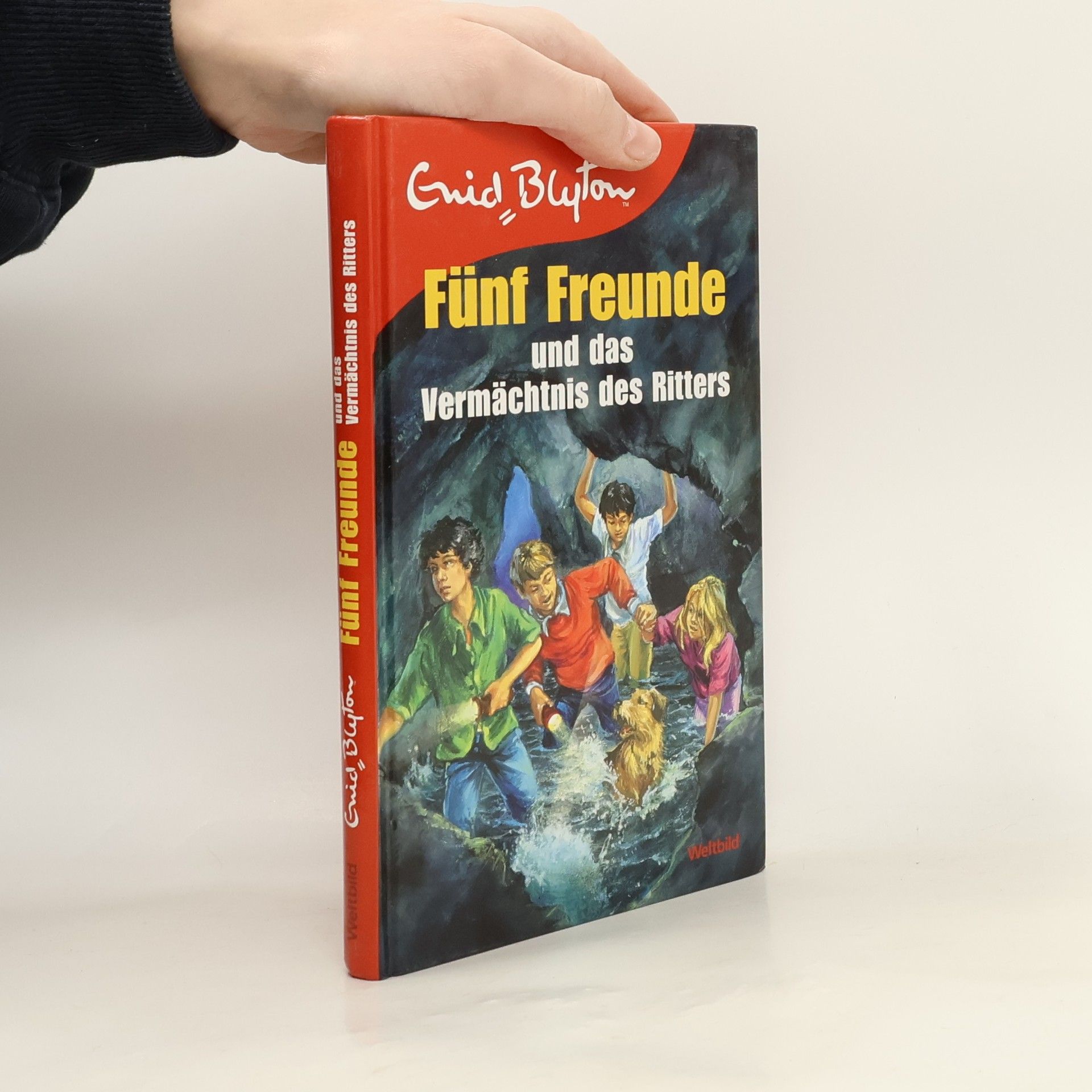 Enid Blyton Fünf Freunde und das Vermächtnis des Ritters
