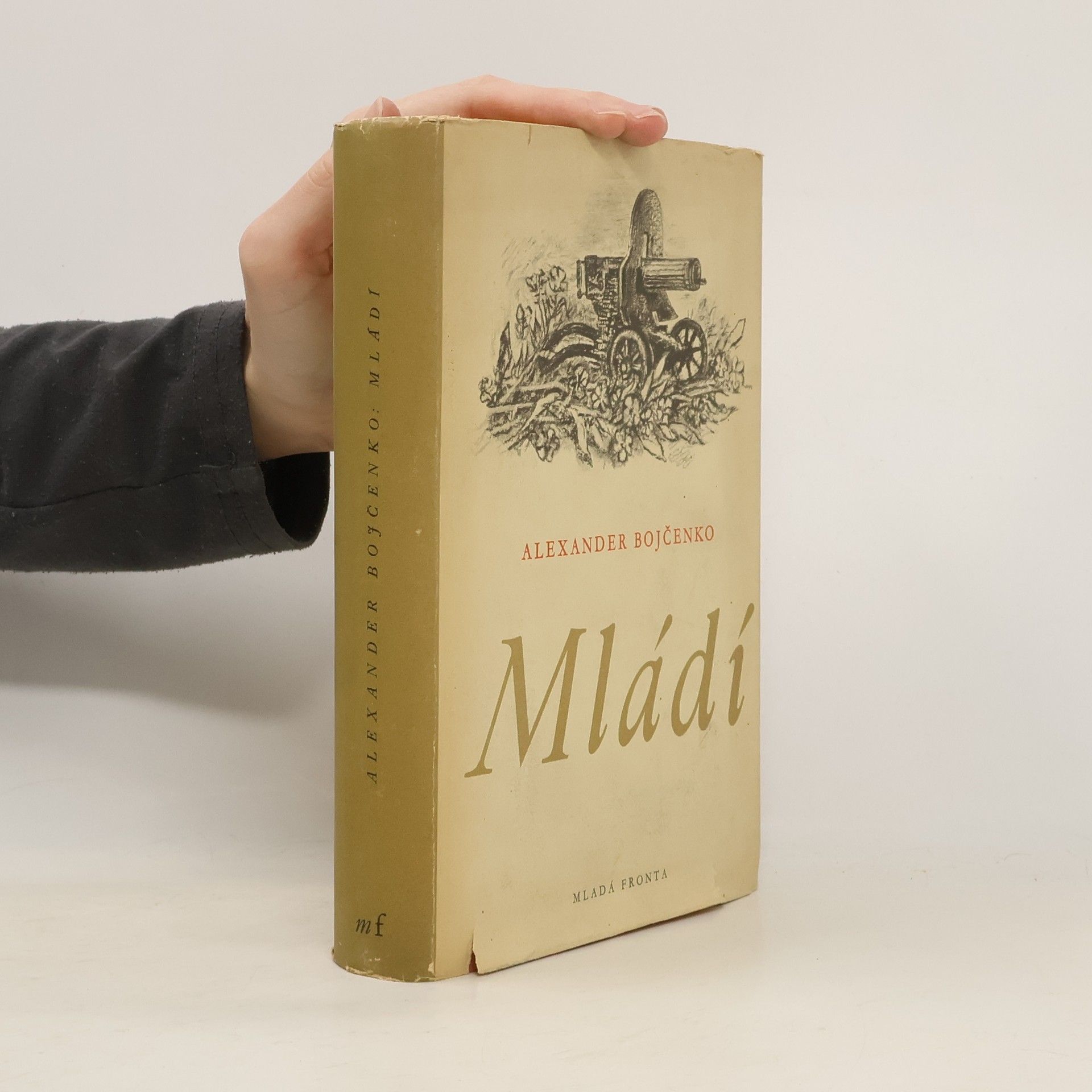 Alexander Bojčenko Mládí