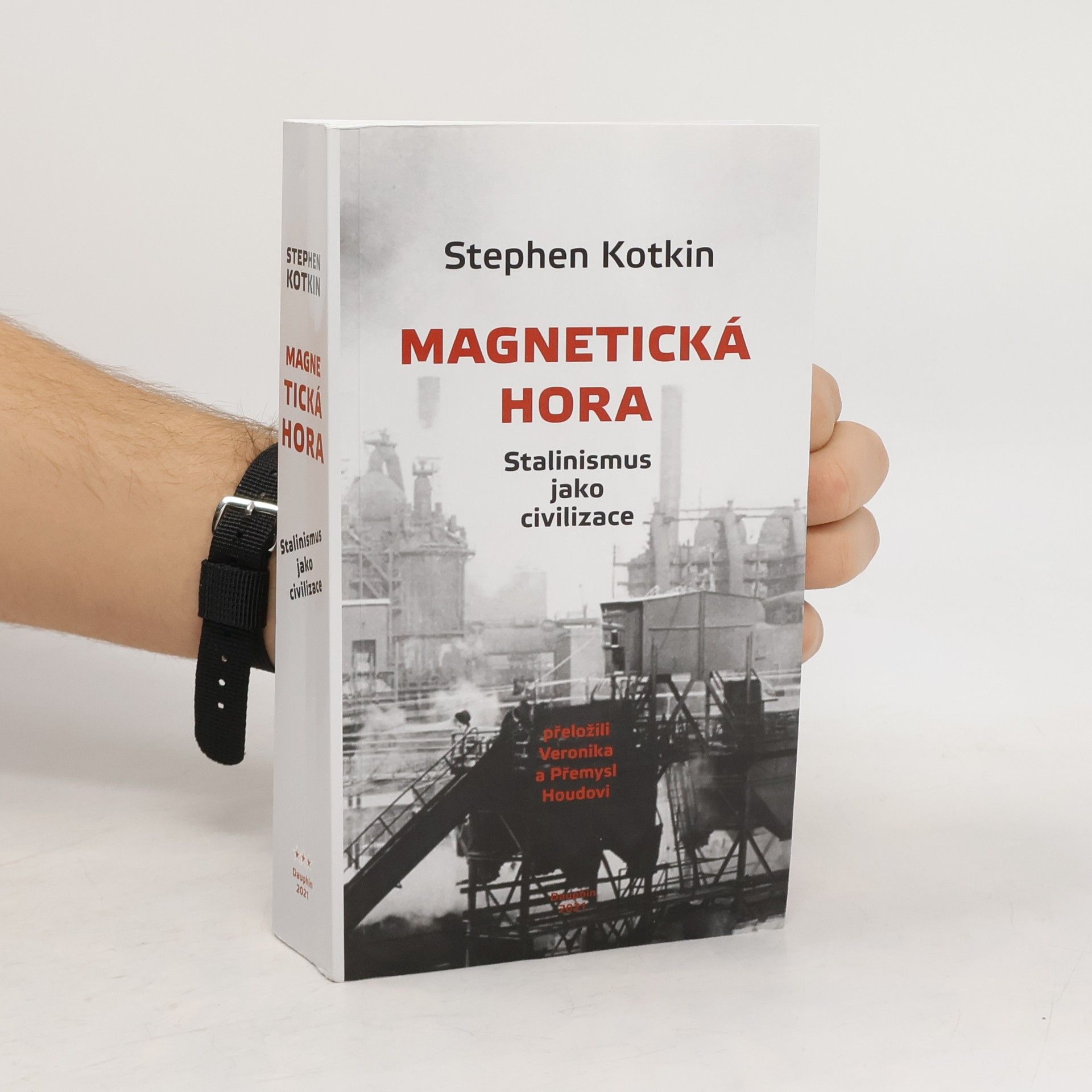 Magnetická hora : stalinismus jako civilizace