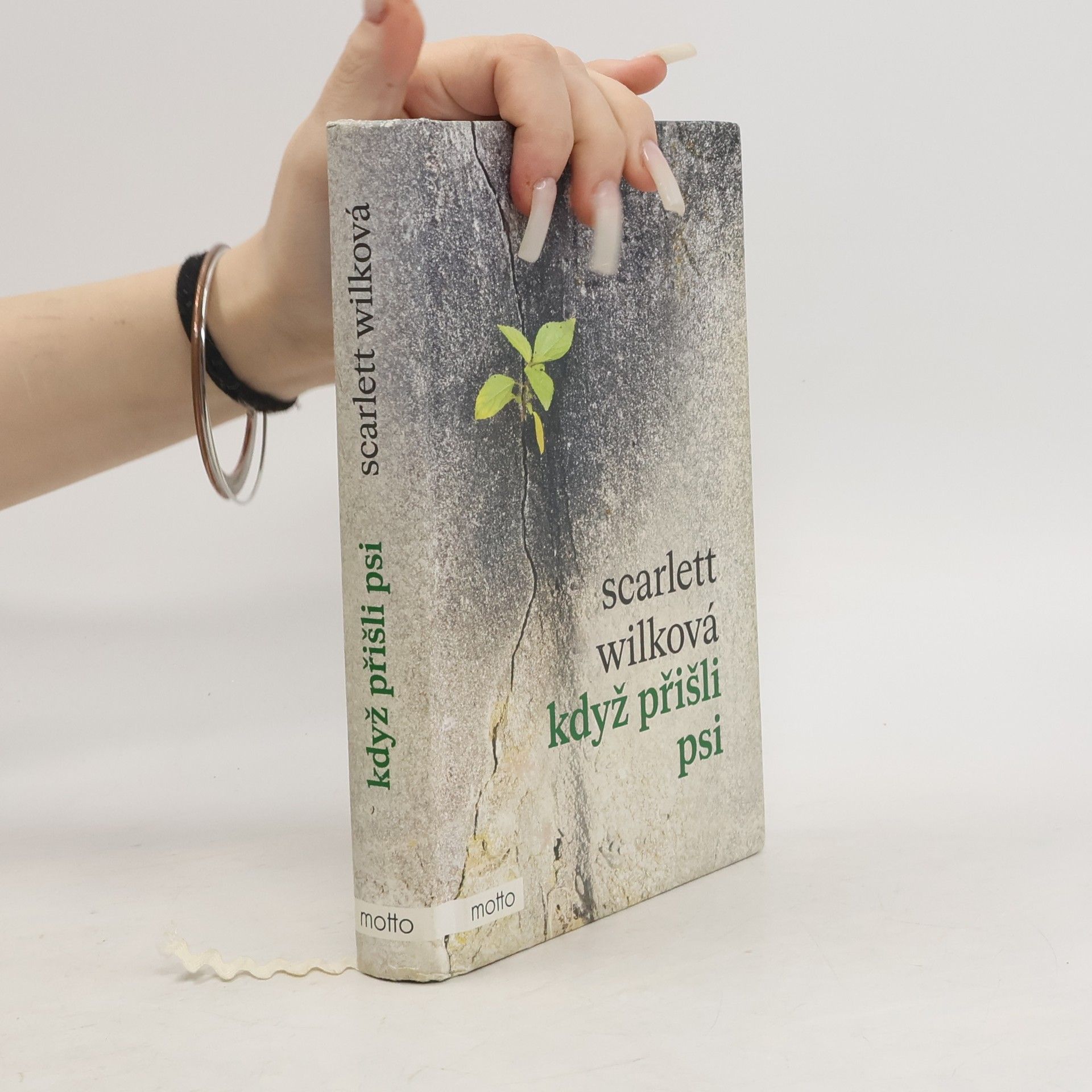 Scarlett Wilková Když přišli psi