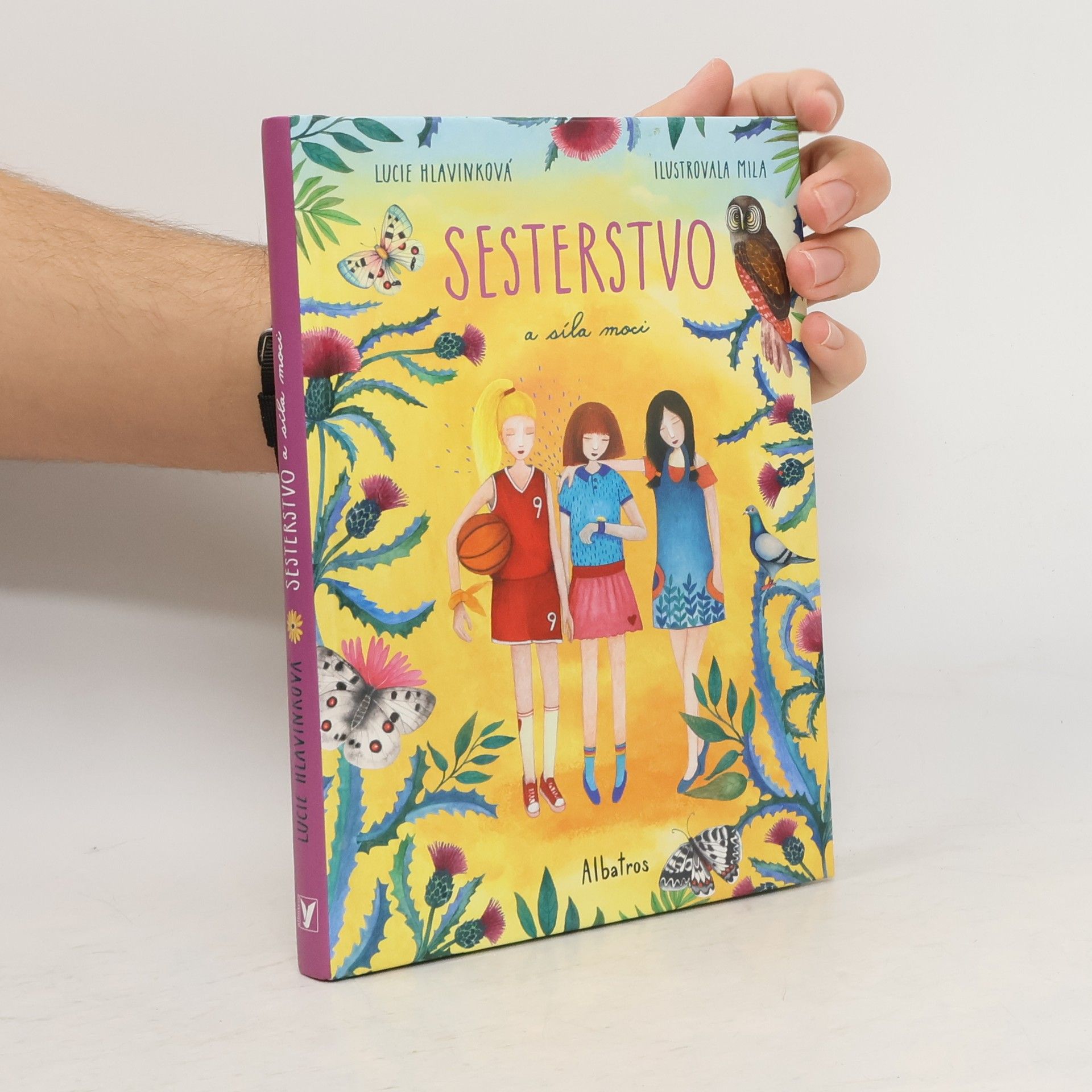 Sesterstvo a síla moci