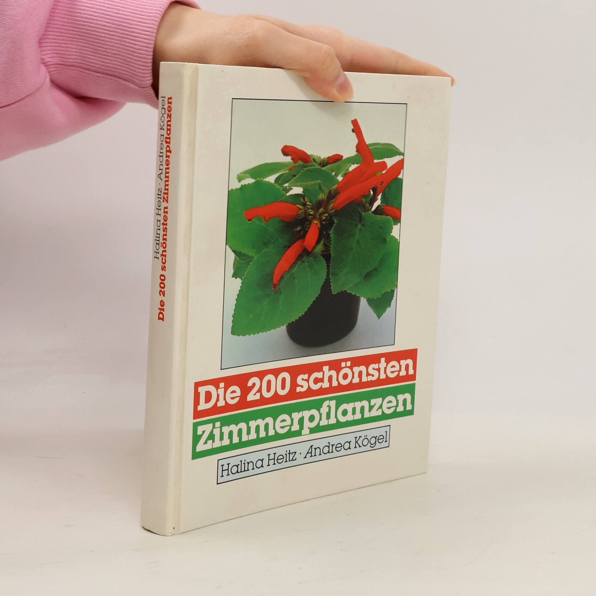Die 200 schönsten Zimmerpflanzen
