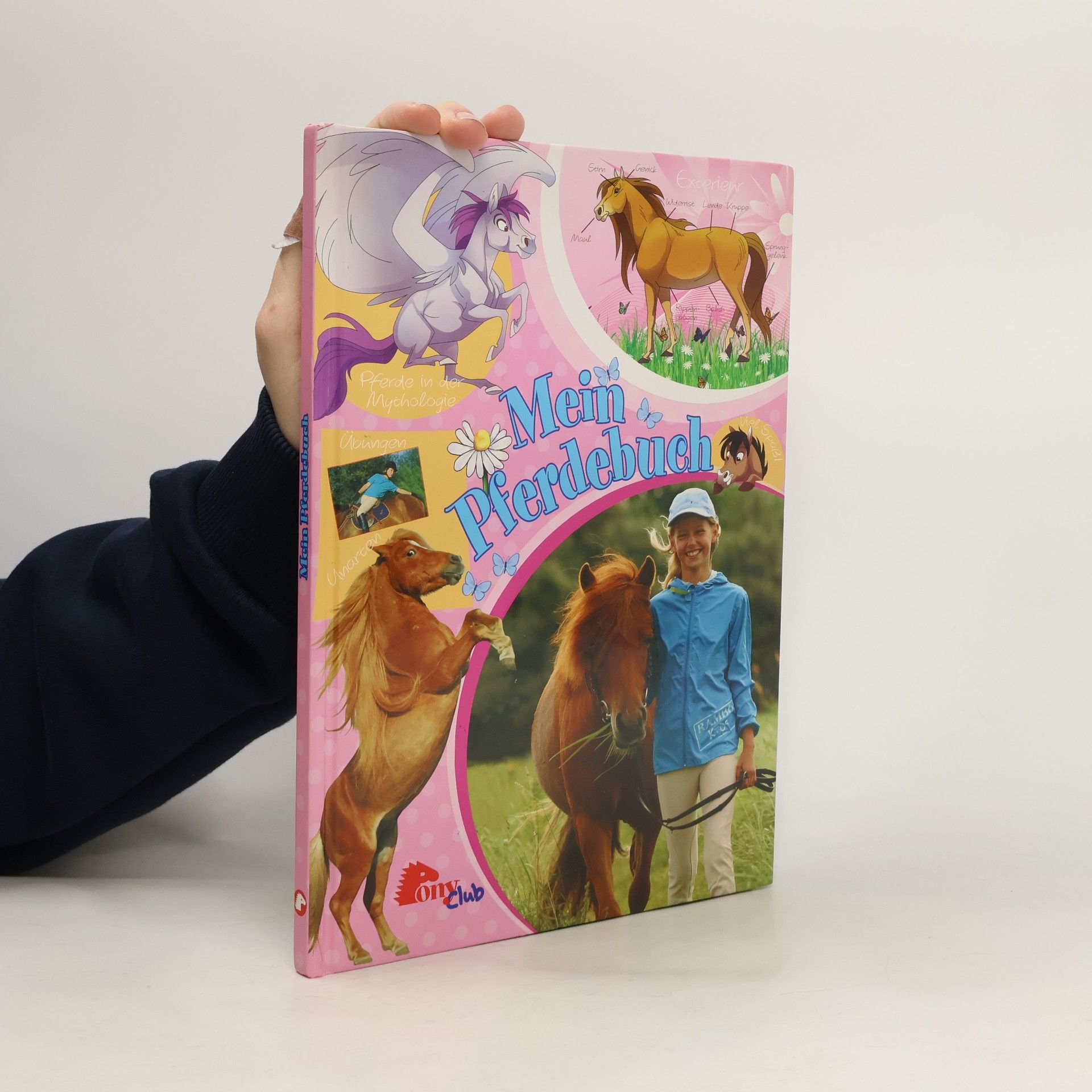 Autorenkollektiv Mein Pferdebuch