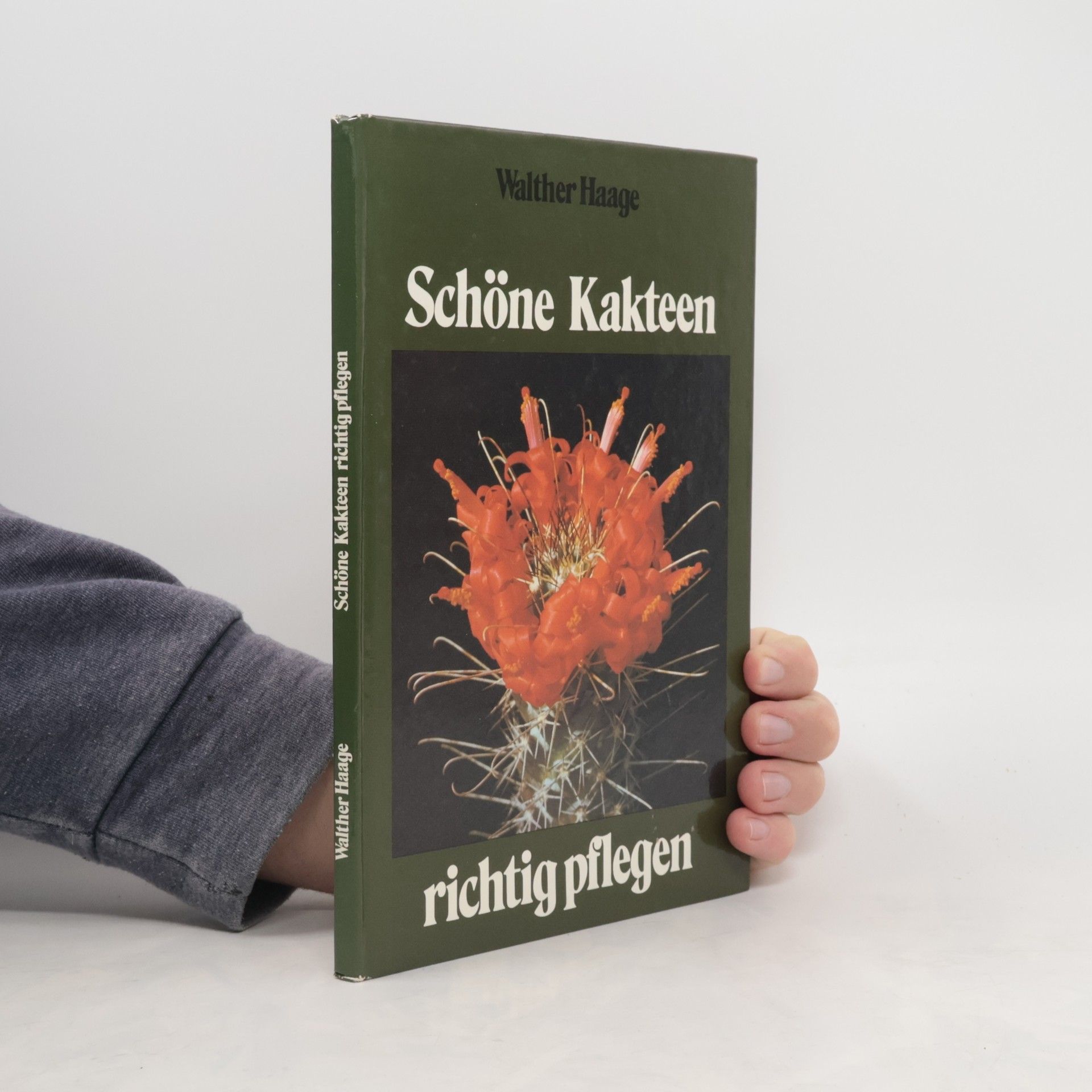Walther Haage Schöne Kakteen richtig pflegen