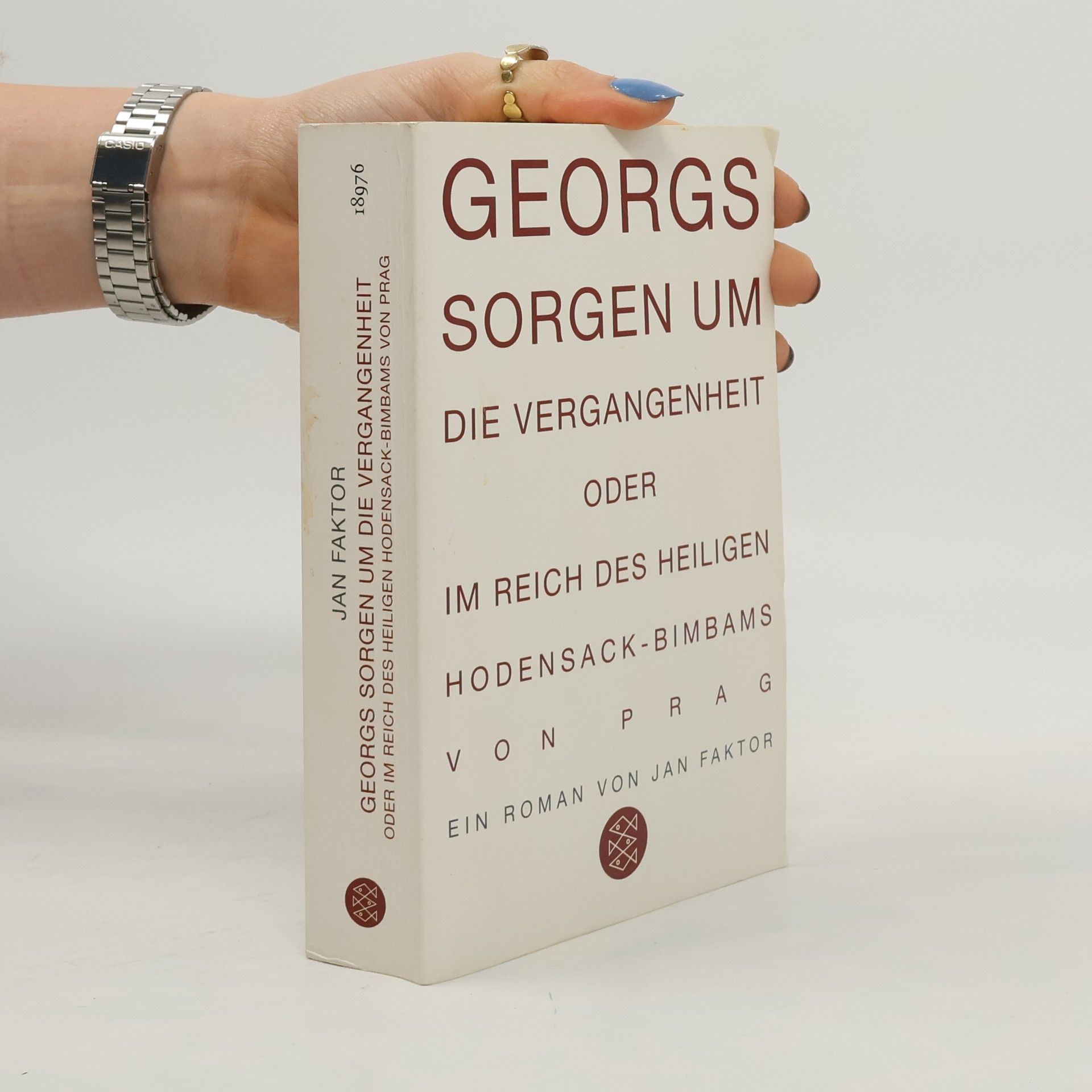 Jan Faktor Georgs Sorgen um die Vergangenheit oder Im Reich des heiligen Hodensack-Bimbams von Prag. Roman