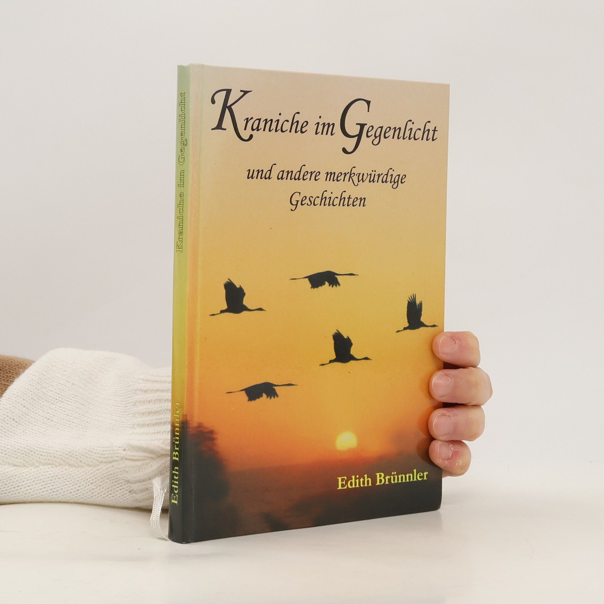 Edith Brünnler Kraniche im Gegenlicht