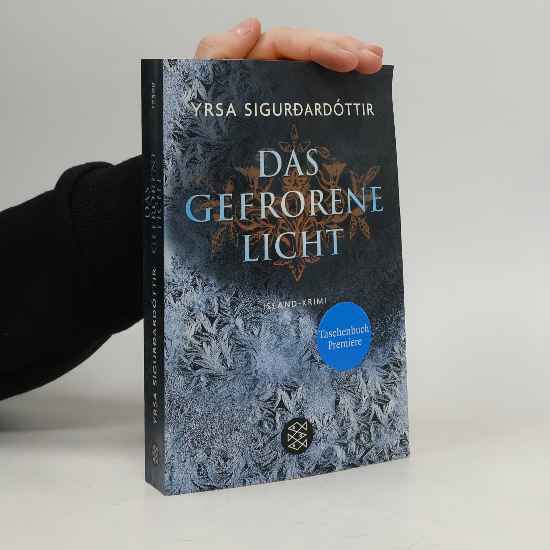 Yrsa Sigurðardóttir Das gefrorene Licht : Island - Krimi