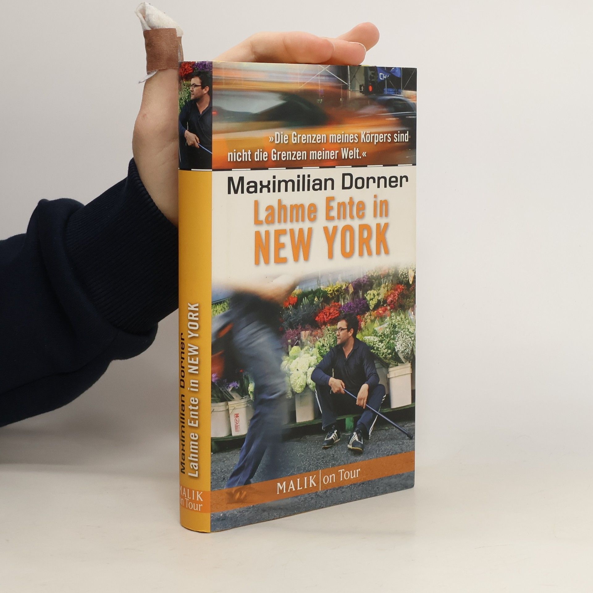 Lahme Ente in New York