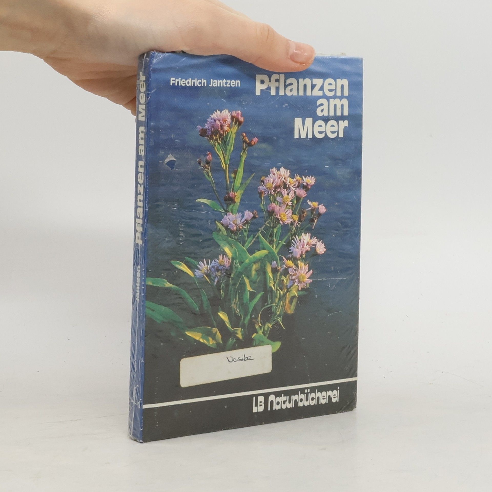 Friedrich Jantzen Pflanzen am Meer