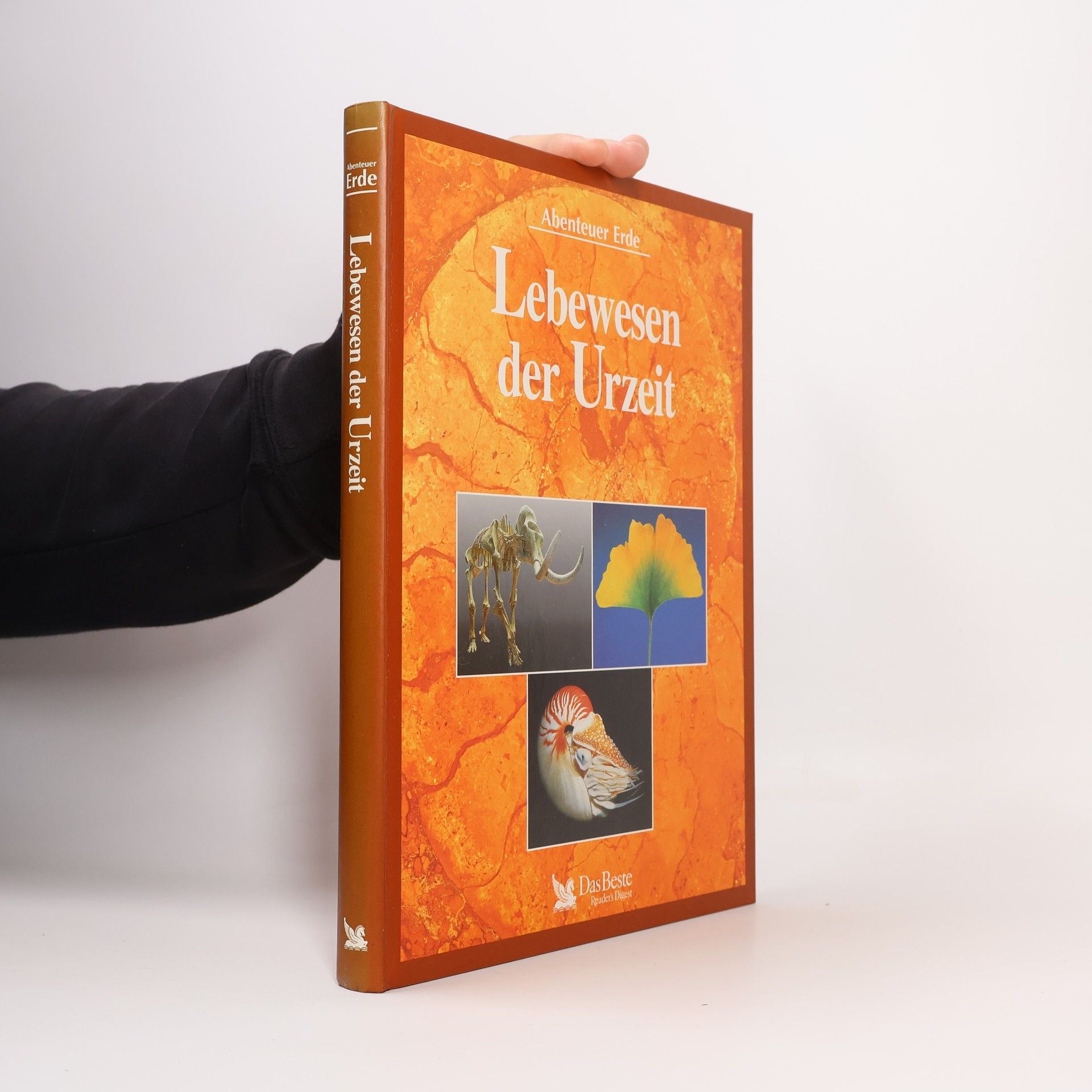 Douglas Palmer Lebewesen der Urzeit