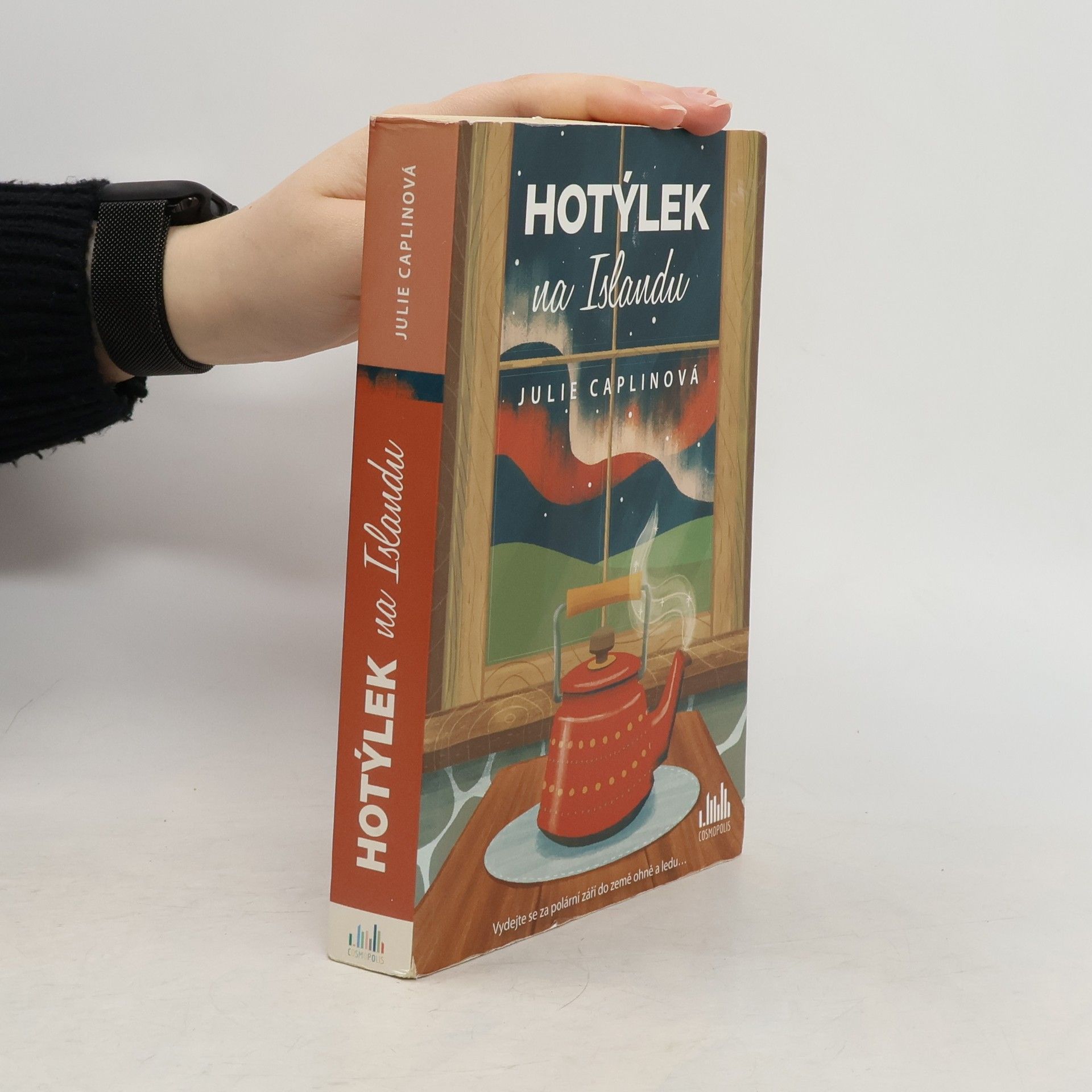Julie Caplinová Hotýlek na Islandu