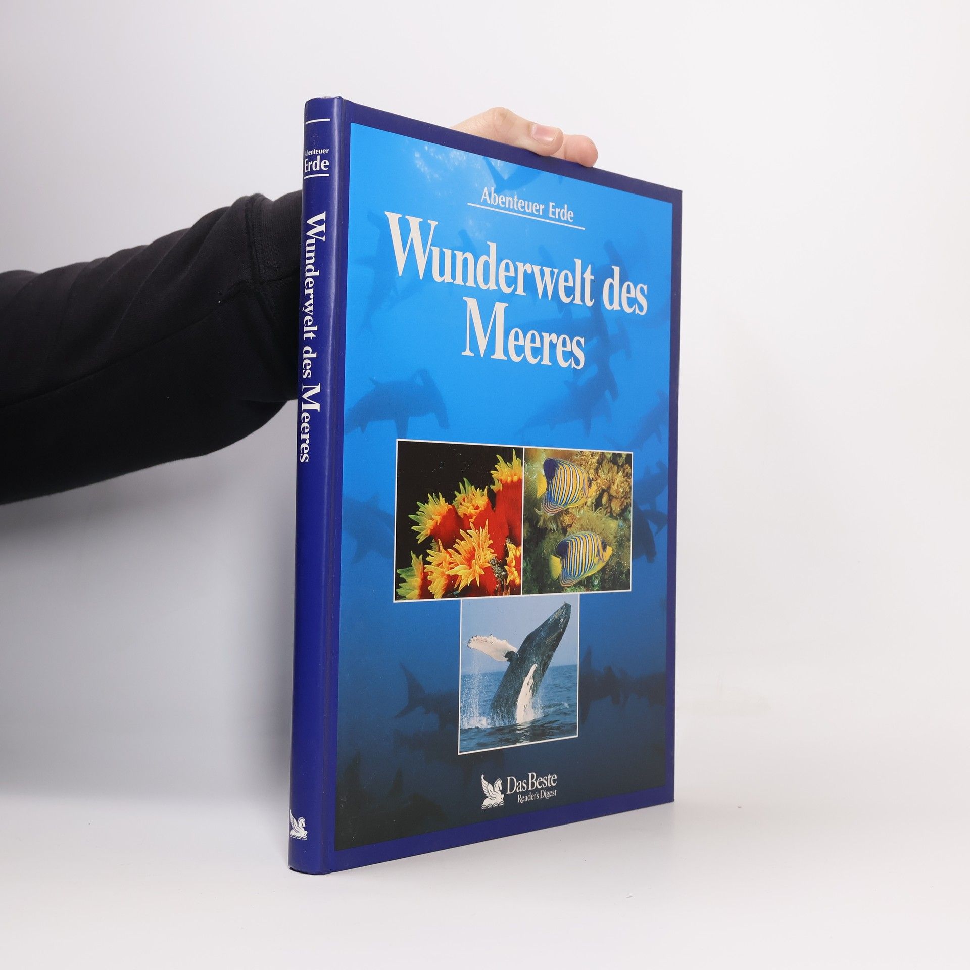 Wunderwelt des Meeres
