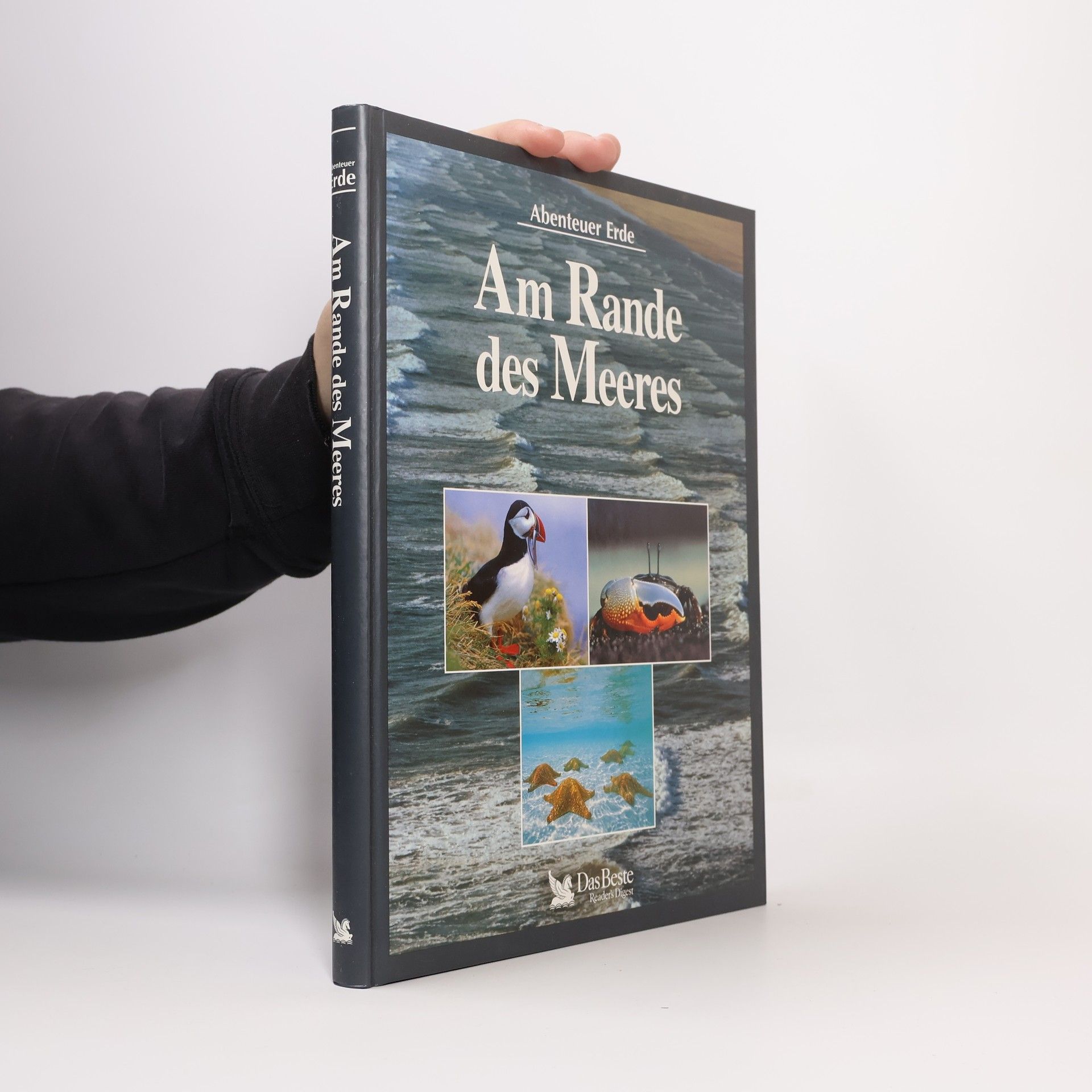 Michael Bright Am Rande des Meeres