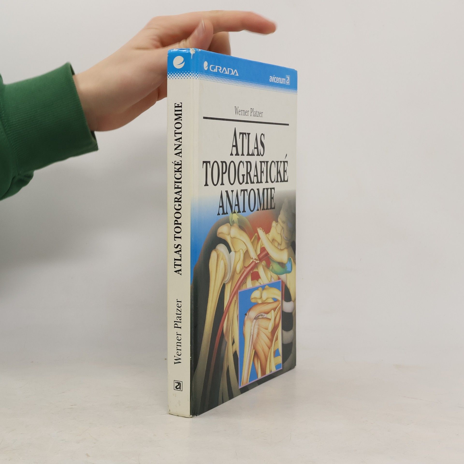 Gerhard Spitzer Atlas topografické anatomie