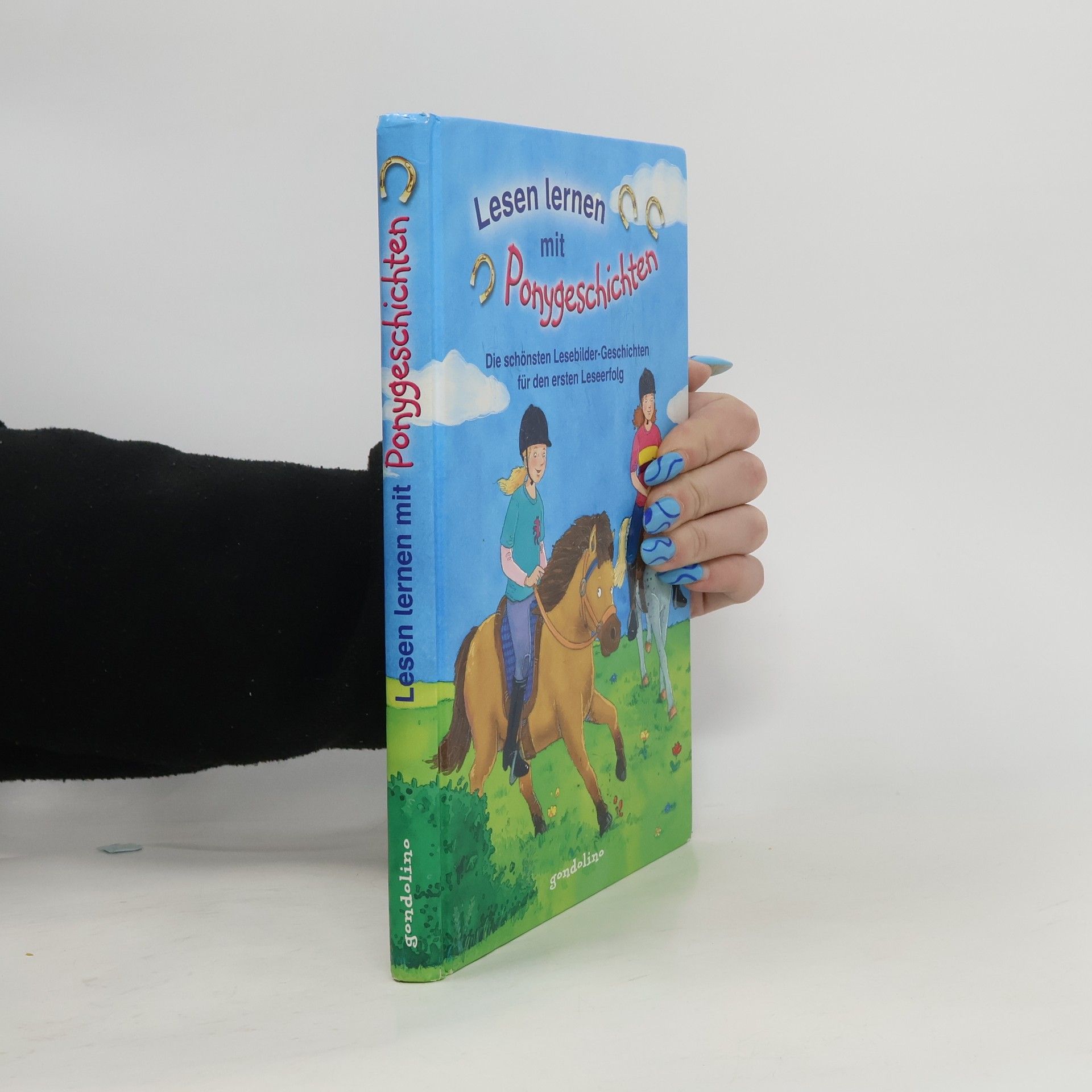 Kolektiv autorů Lesen lernen mit Ponygeschichten