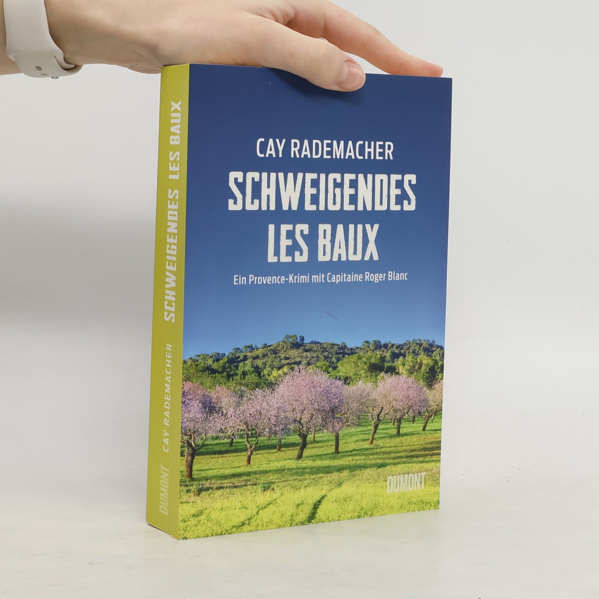Cay Rademacher Schweigendes Les Baux