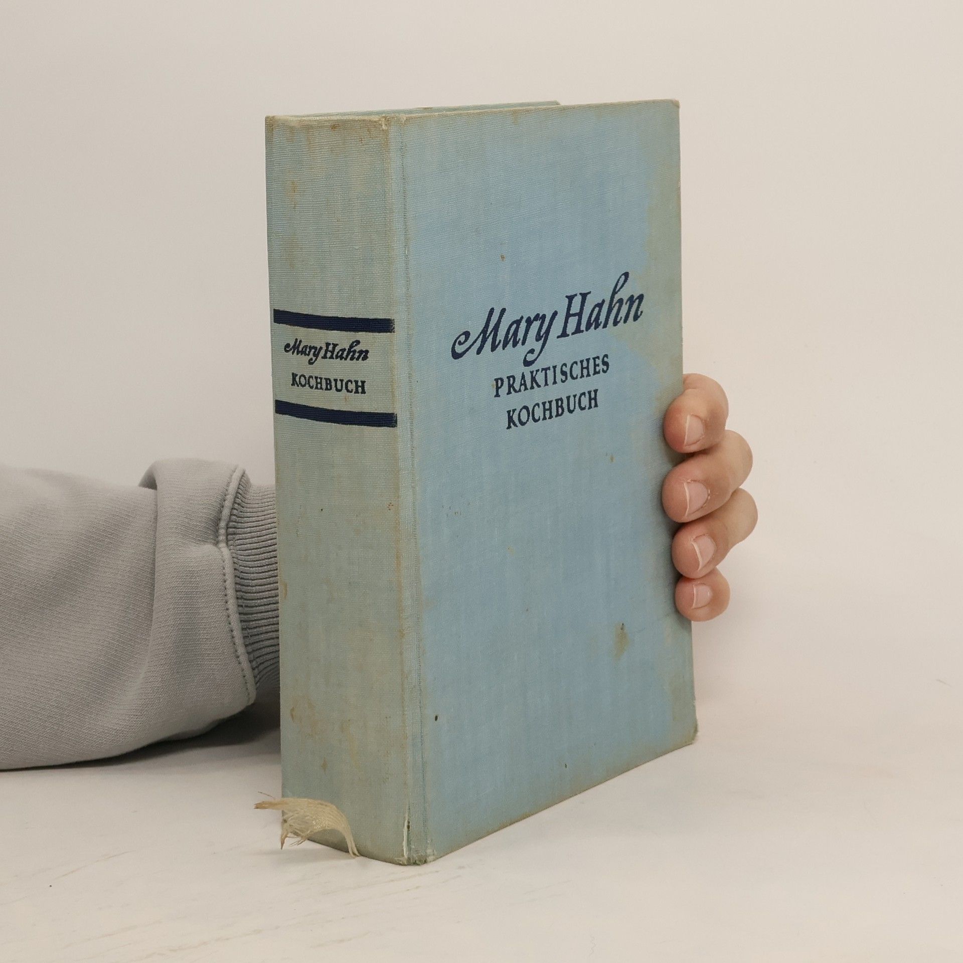 Hahn Mary Praktisches Kochbuch