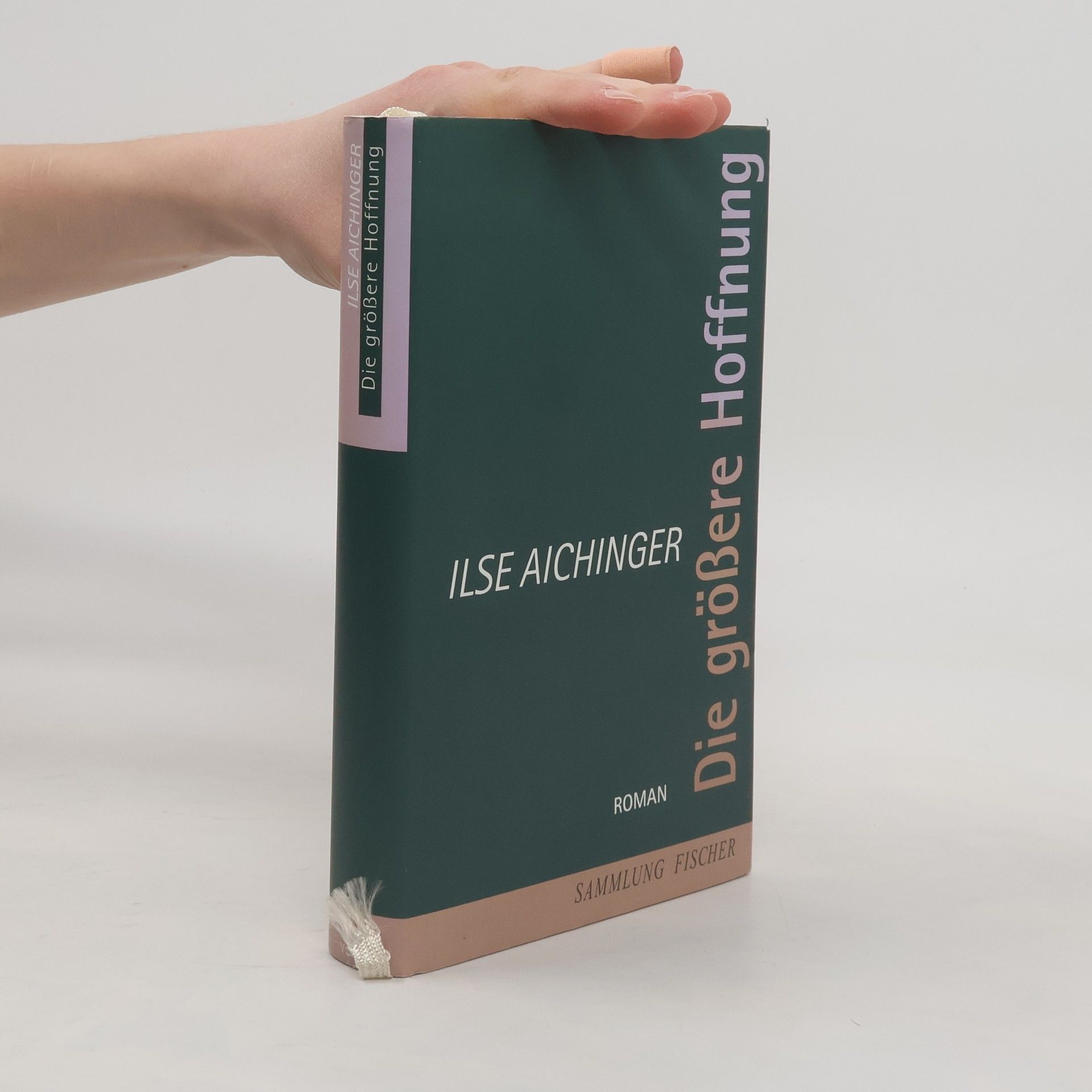 Ilse Aichinger Die größere Hoffnung: Nachw. v. Ruth Klüger