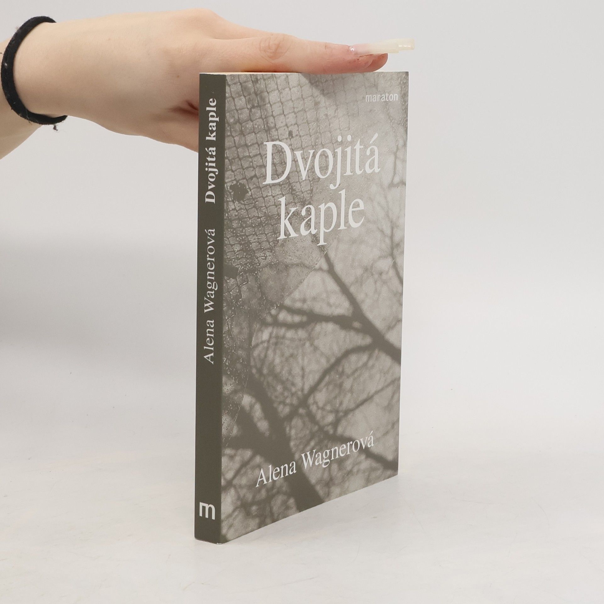Alena Wagnerová Dvojitá kaple