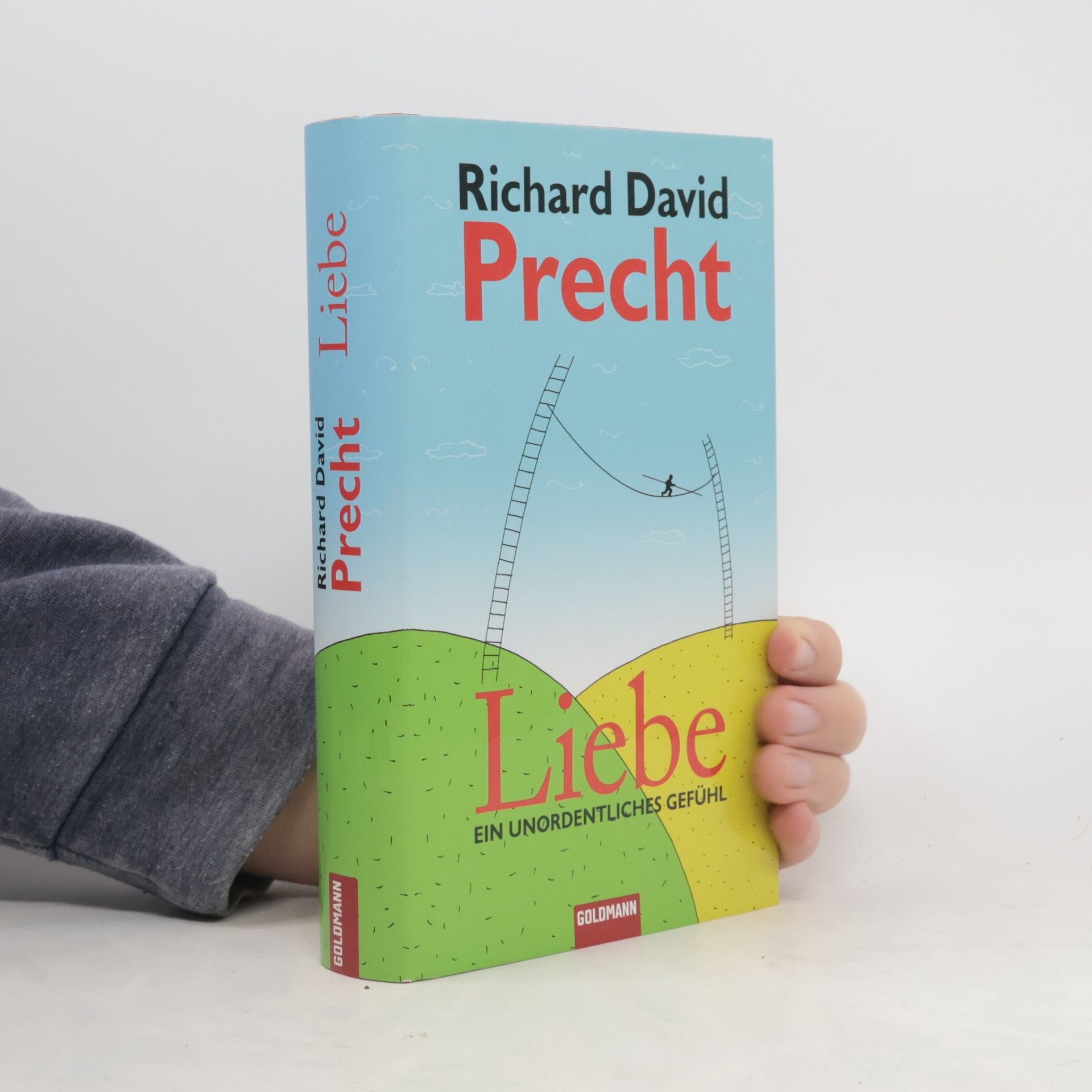 Richard David Precht Liebe ein Unordentliches Gefühl