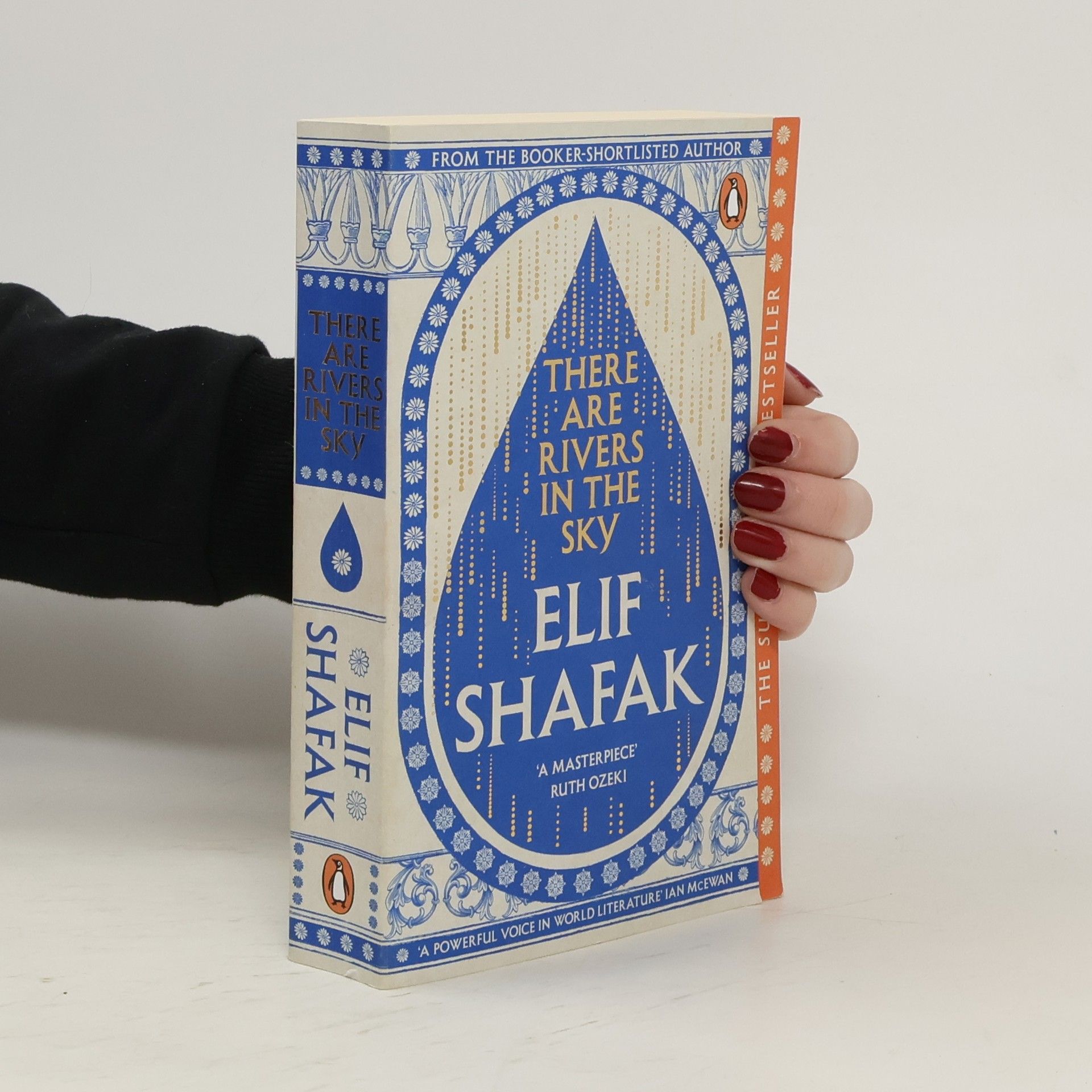 Elif Shafak There are Rivers in the Sky
