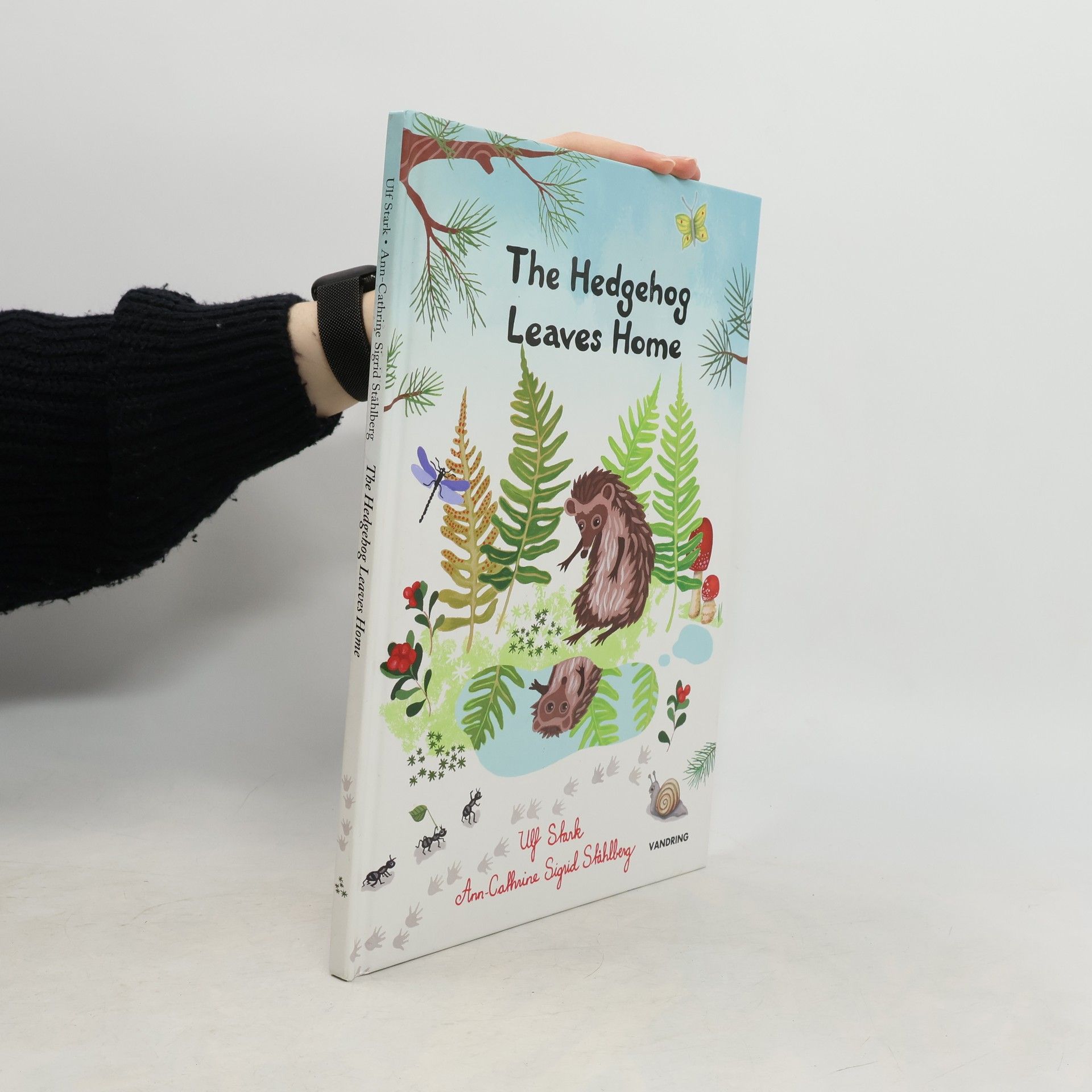 The Hedgehog Leaves Home