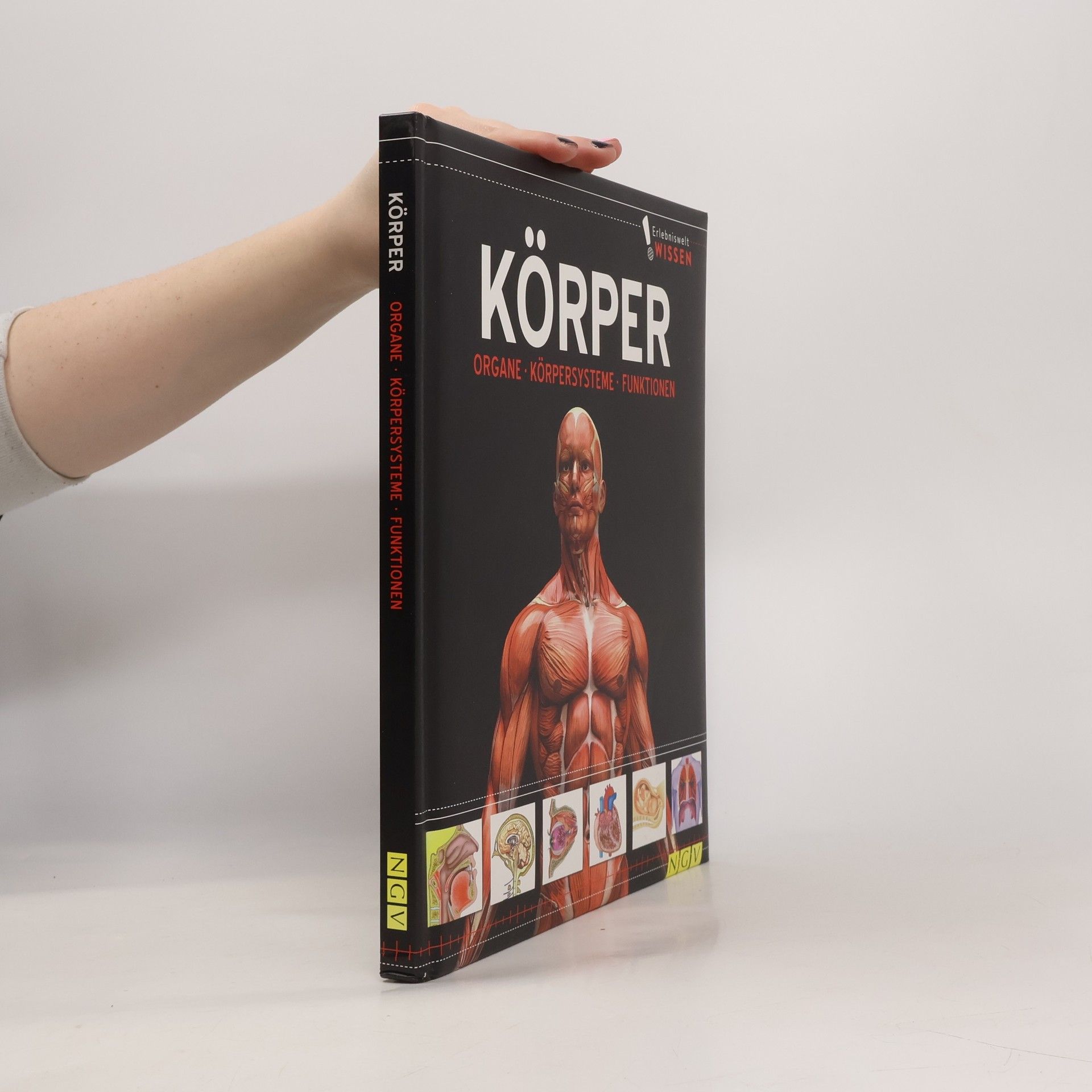 Various authors Körper