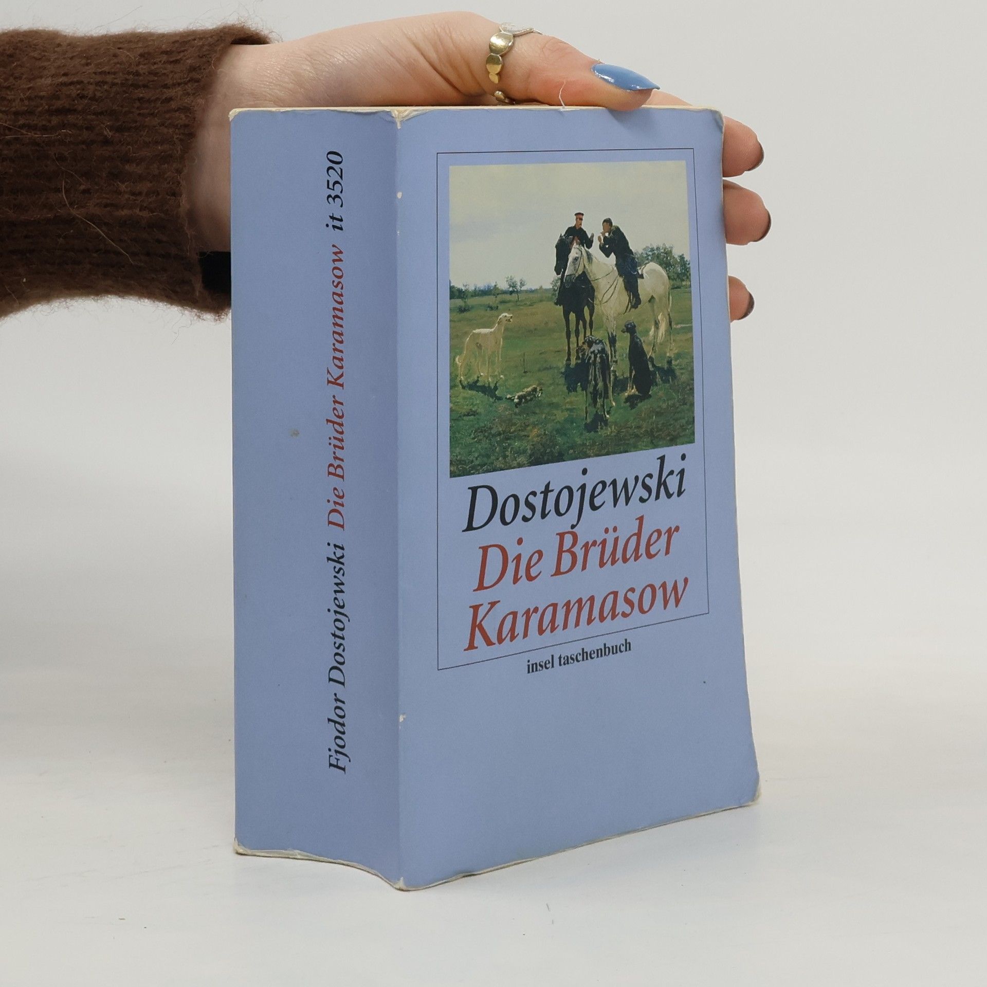 Fjodor Michajlovič Dostojevskij Insel Taschenbuch: Die Brüder Karamasow