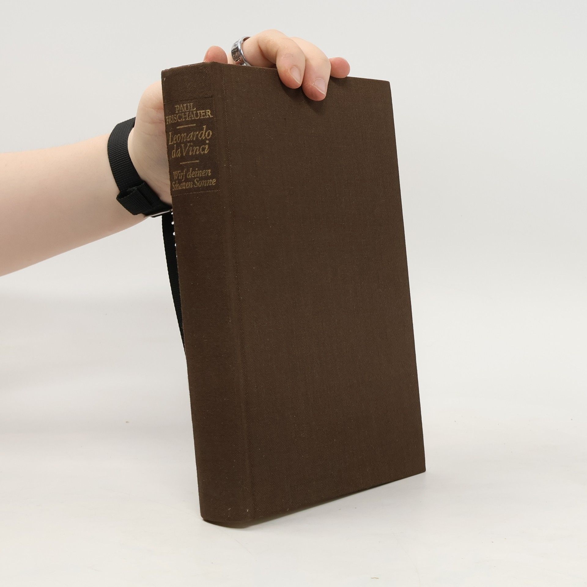 Leonardo da Vinci Wirf deinen Schatten, Sonne