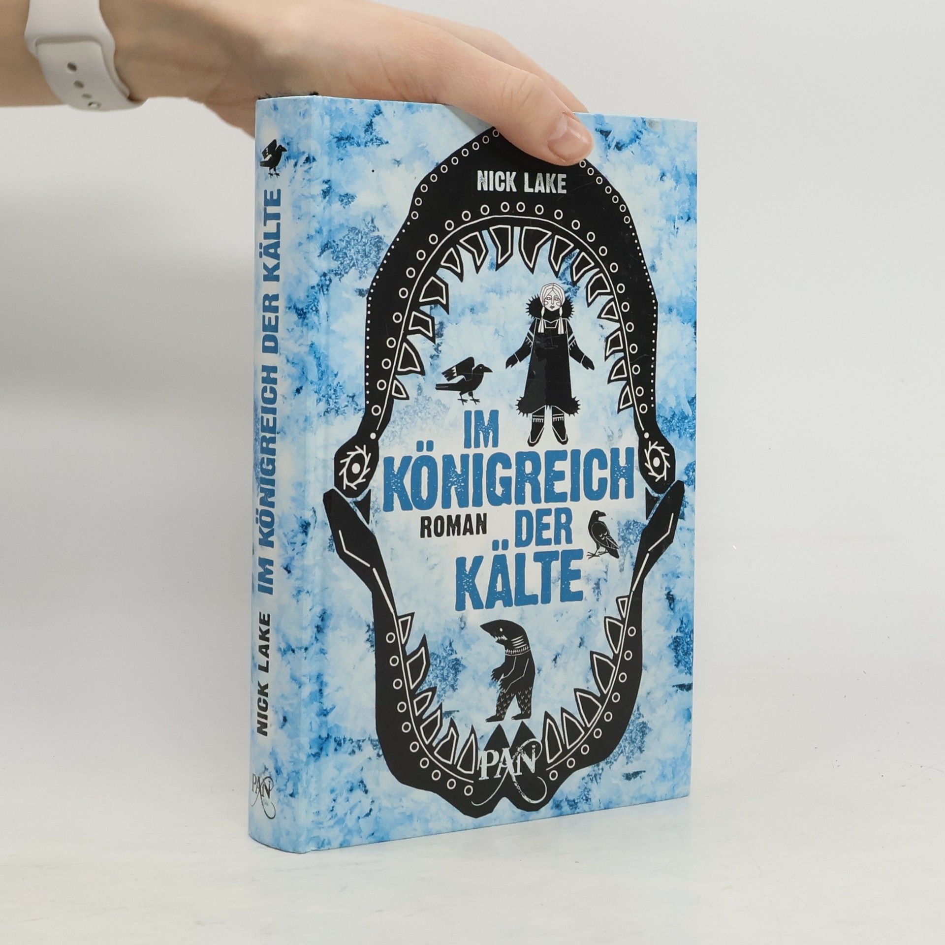 Nick Lake Im Königreich der Kälte