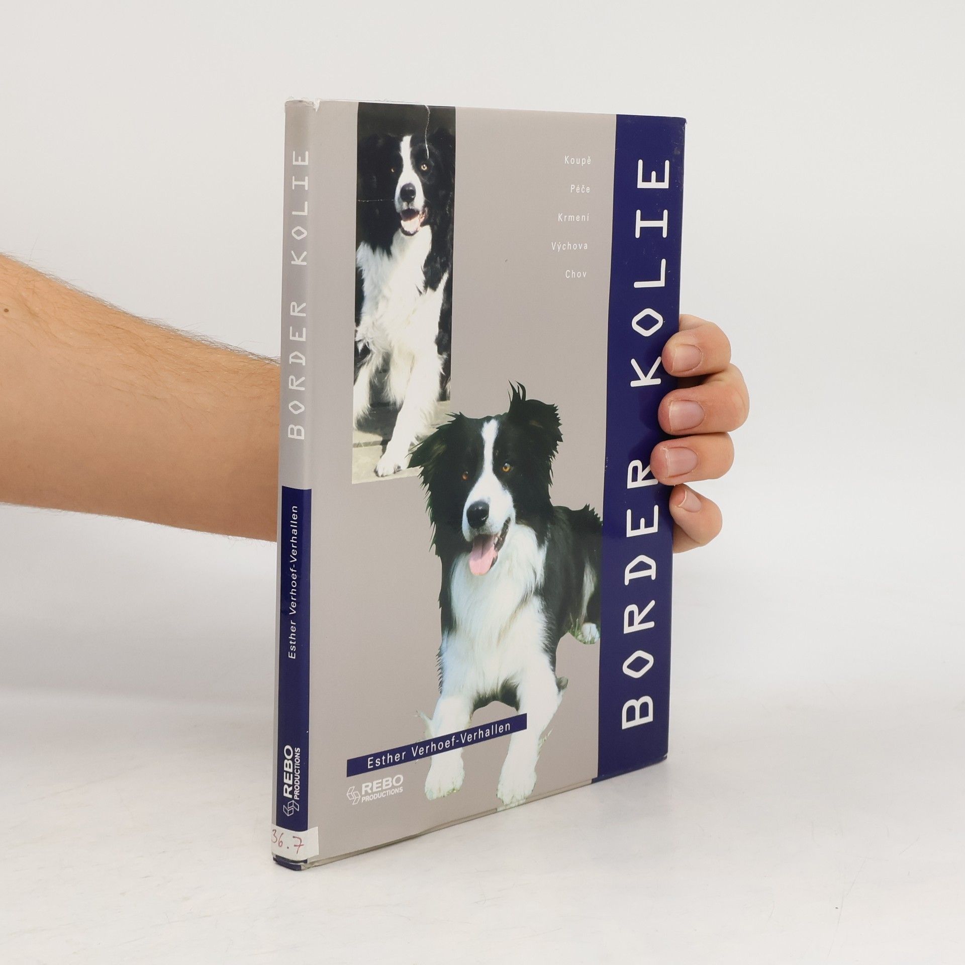 Berry Verhoef Border kolie