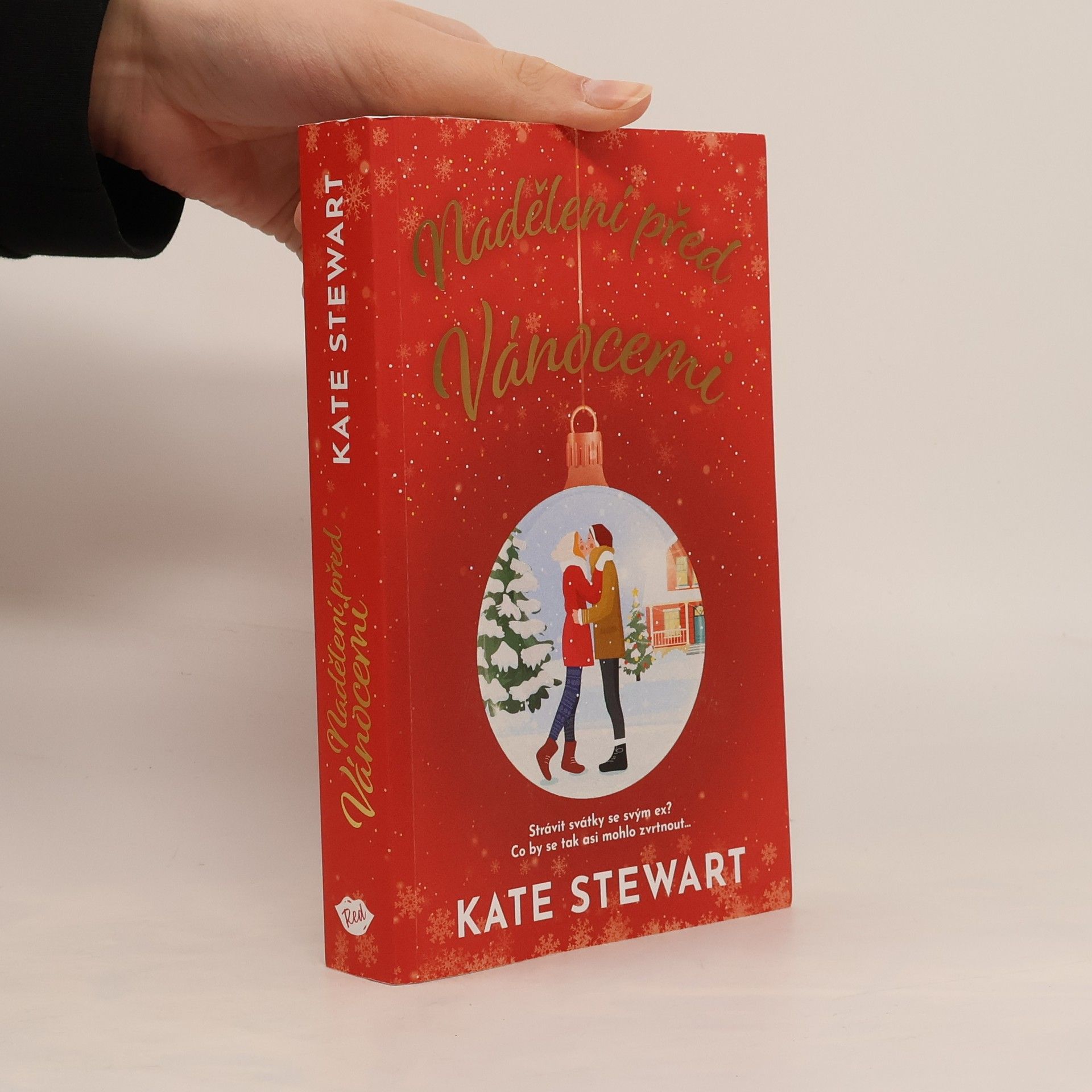 Nadělení před Vánocemi