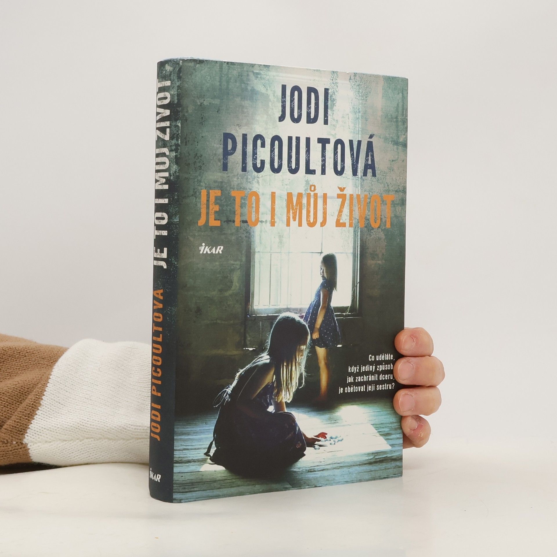 Jodi Picoult Je to i můj život