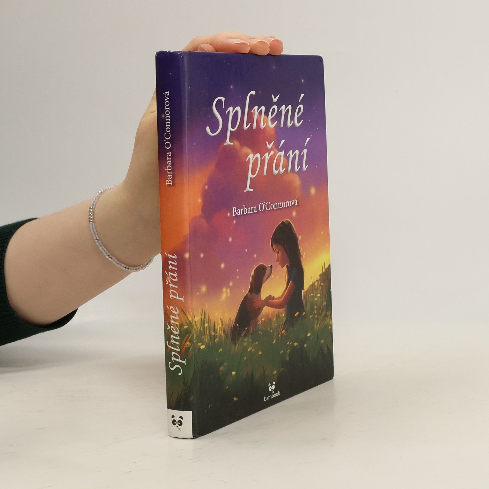 Barbara O'Connor Splněné přání