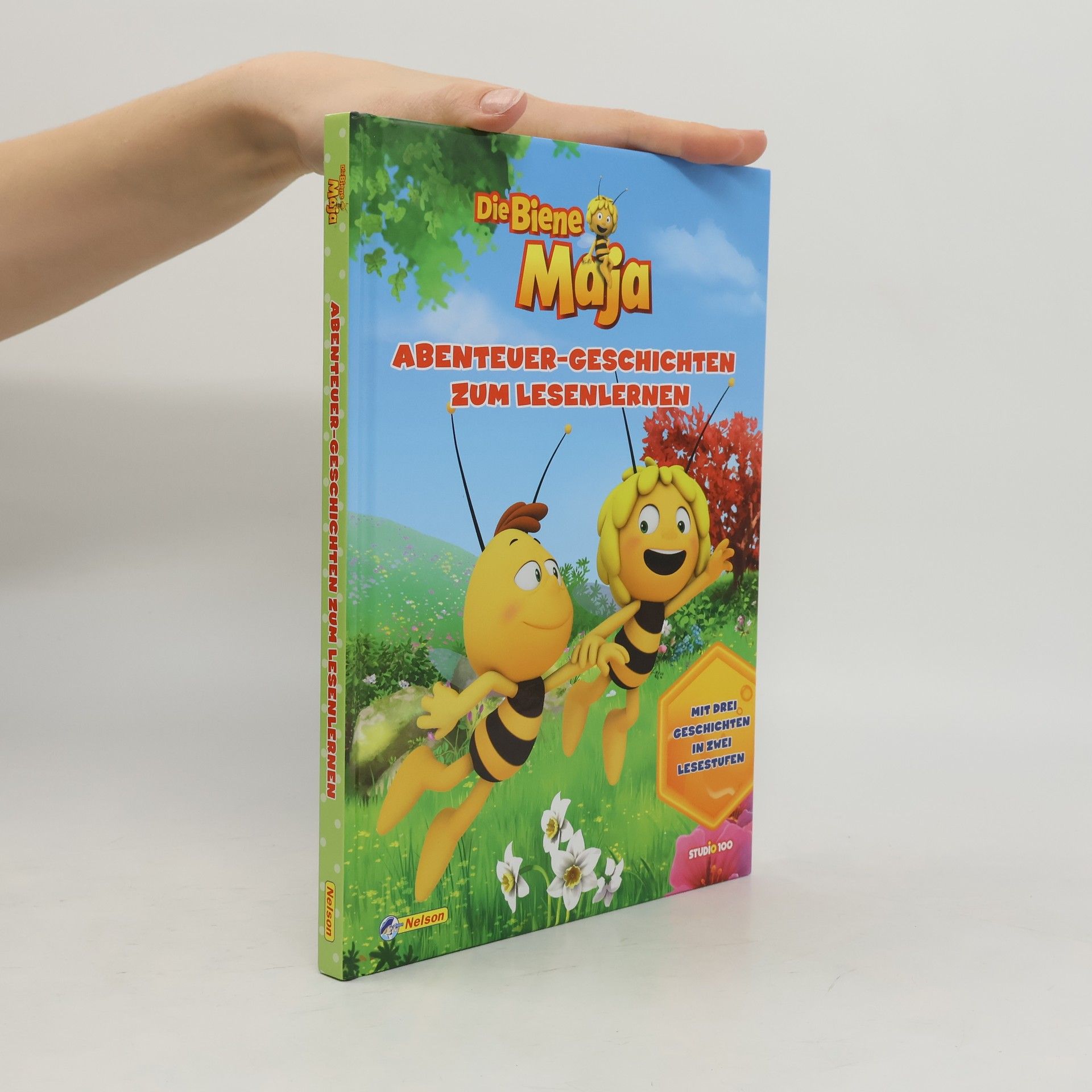 Auteurscollectief Biene Maja: Abenteuer-Geschichten zum Lesenlernen