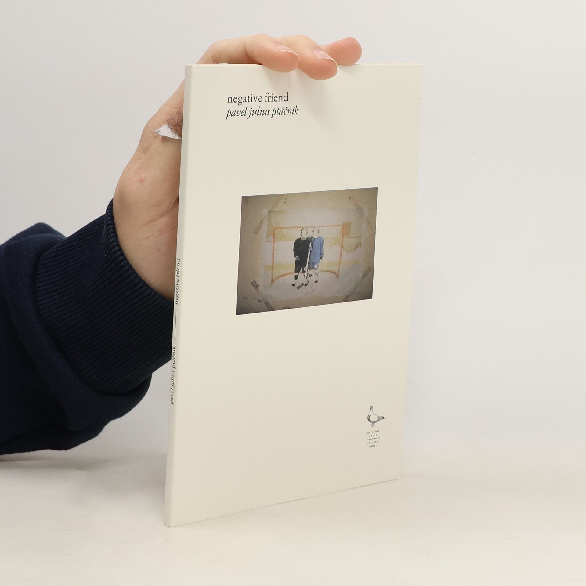 Pavel Julius Ptáčník Negative Friend