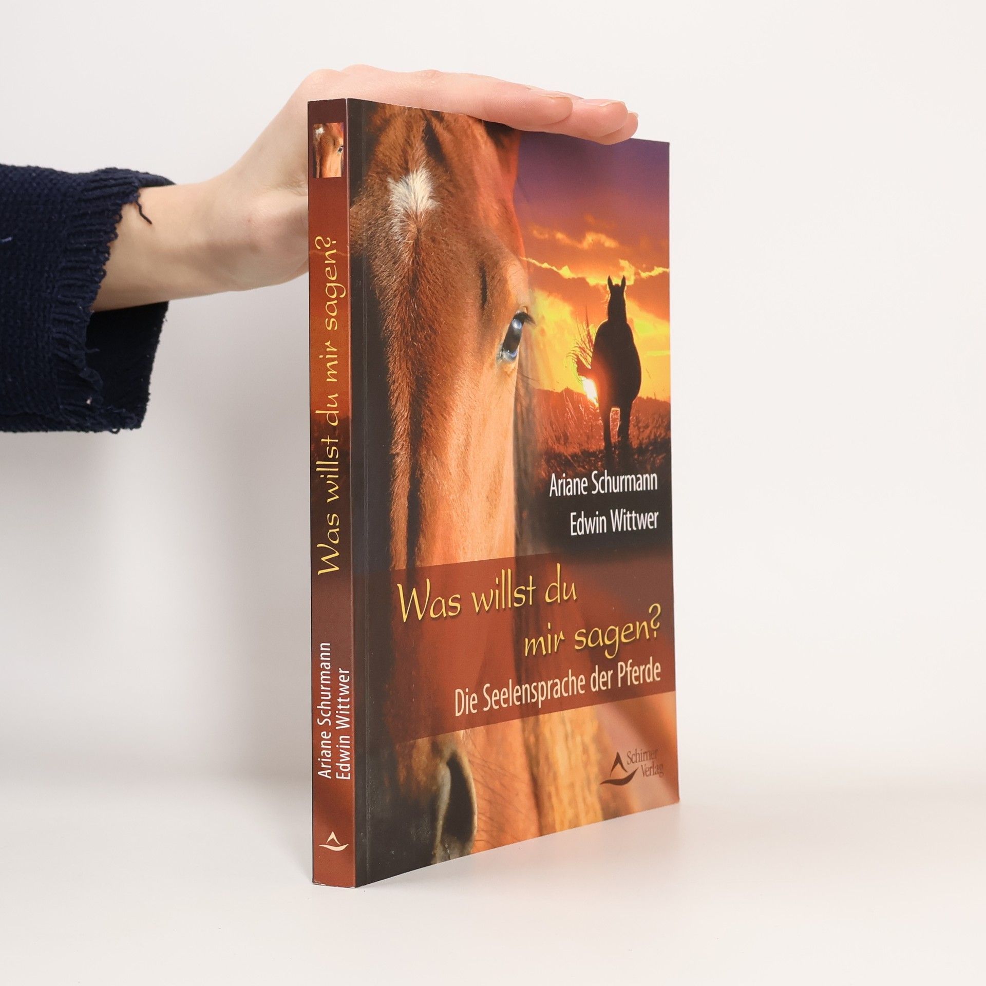 Ariane Schurmann Was willst du mir sagen?