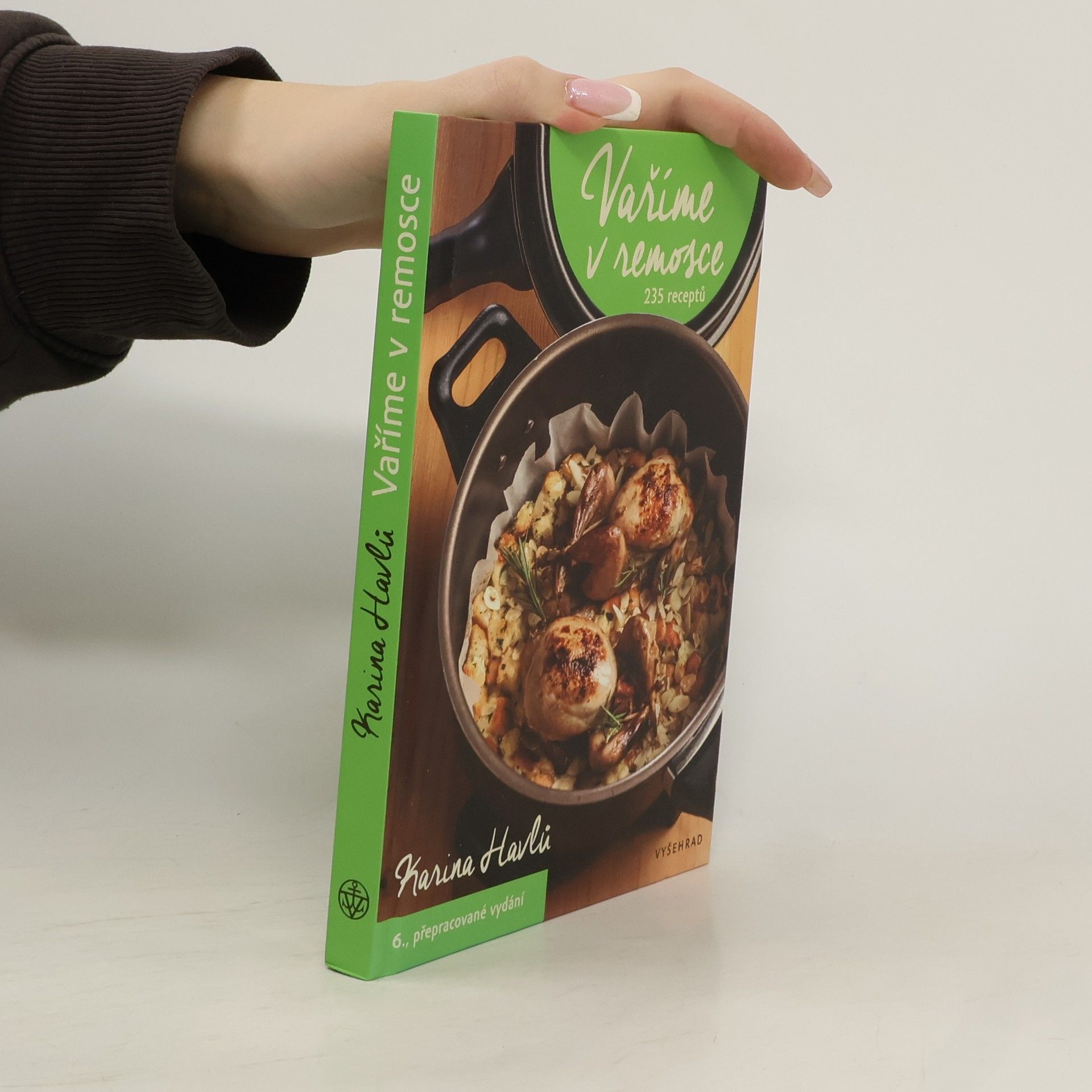 Karina Havlů Vaříme v remosce: 235 receptů