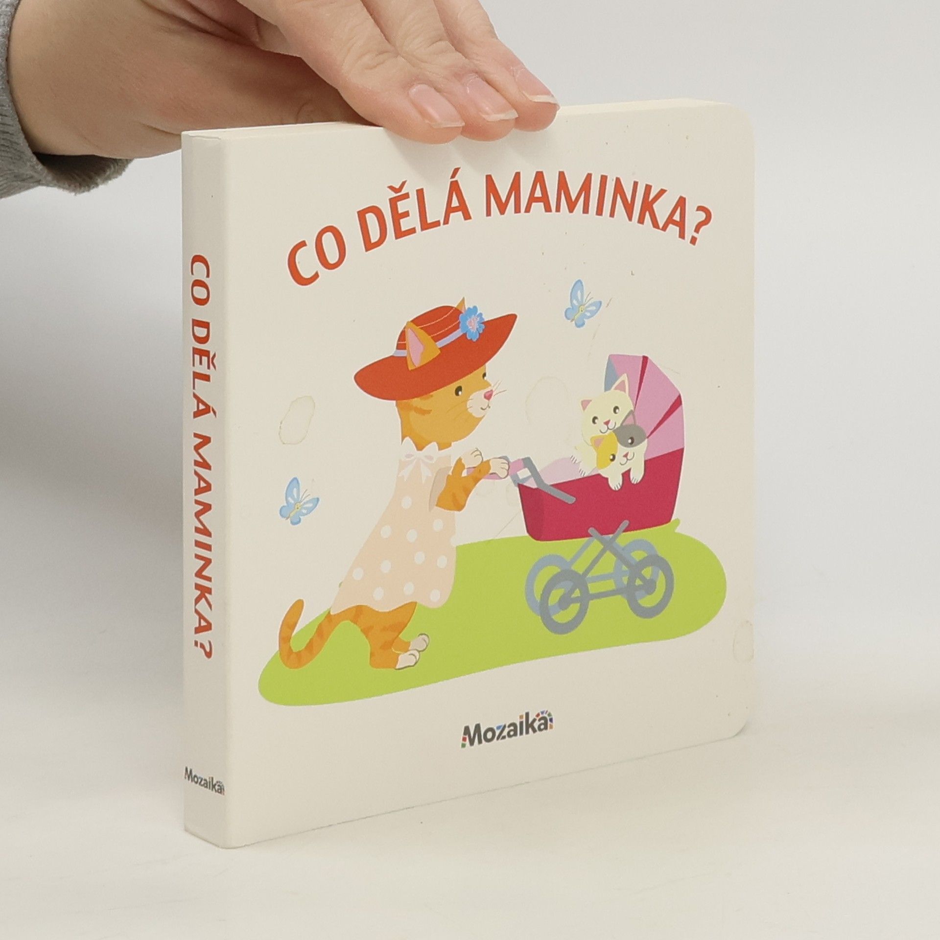 Kolektív autorov Co dělá maminka?