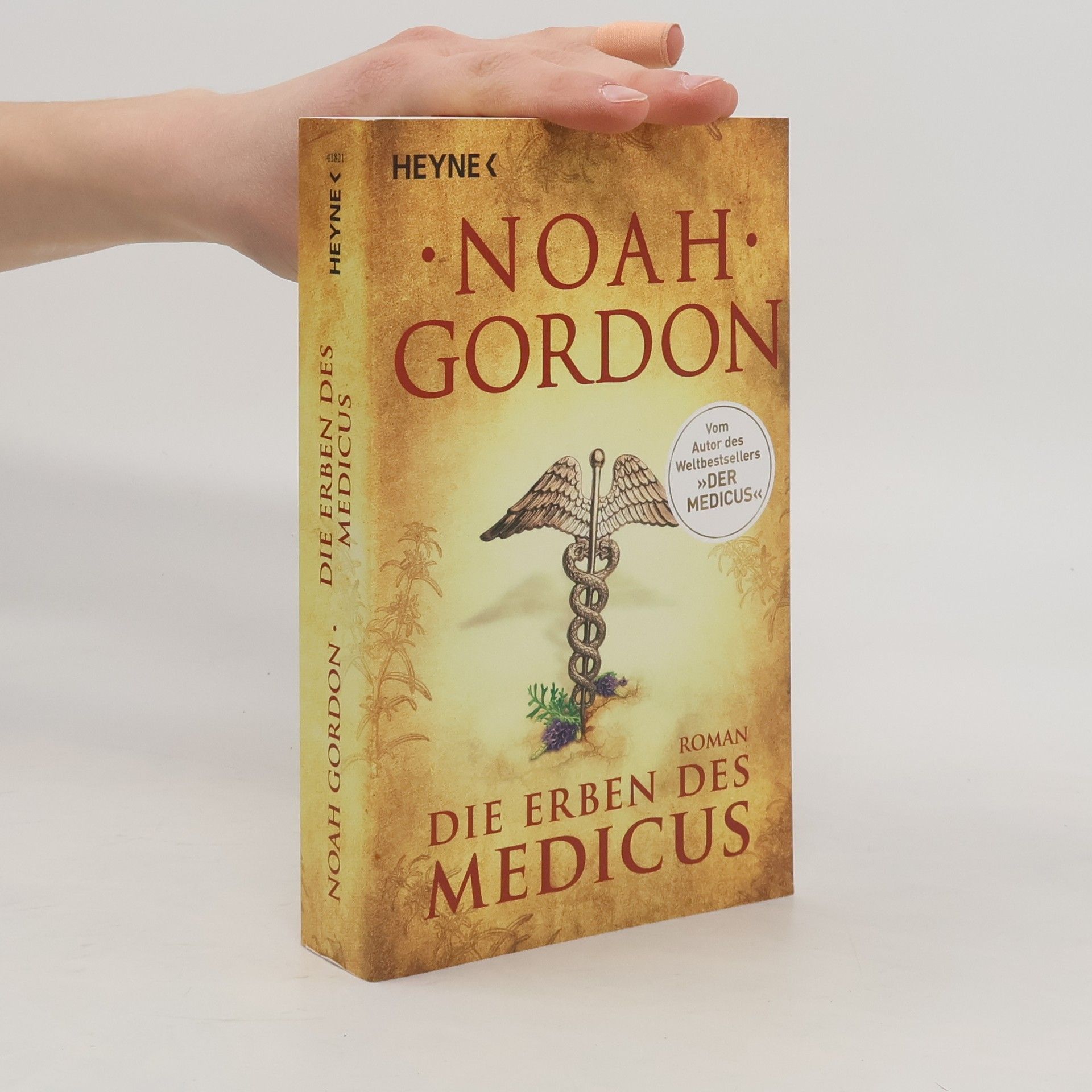 Noah Gordon Die Erben des Medicus