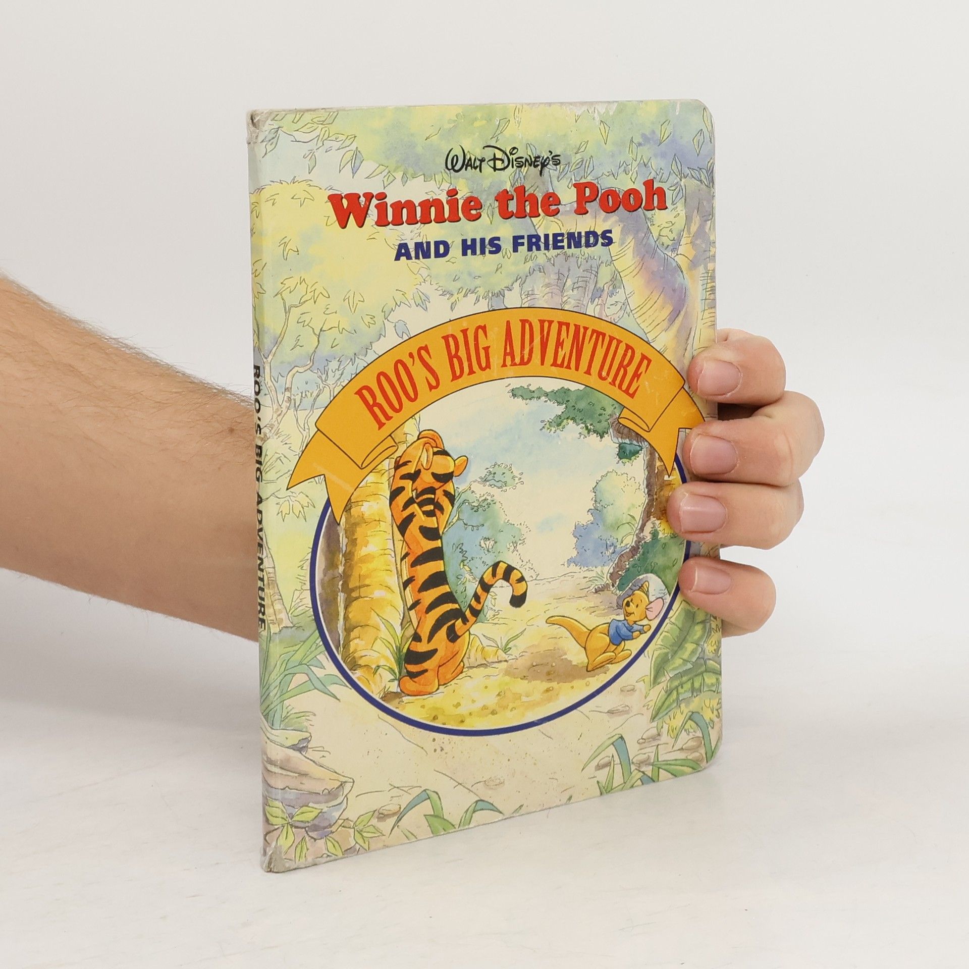 Kolektiv autorů Winnie the Pooh and His Friends : Roo's Big Adventure