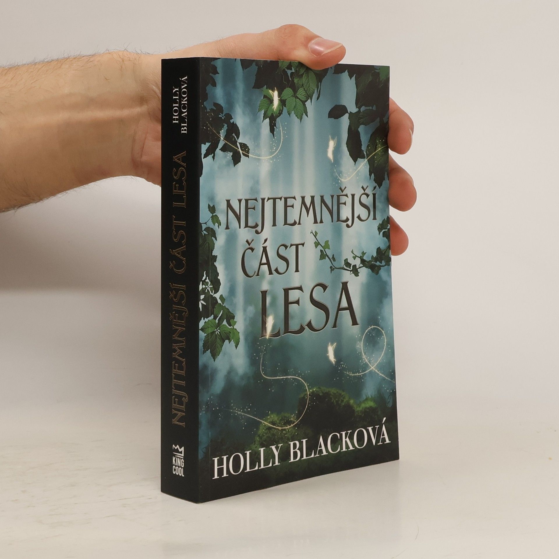 Holly Black Nejtemnější část lesa